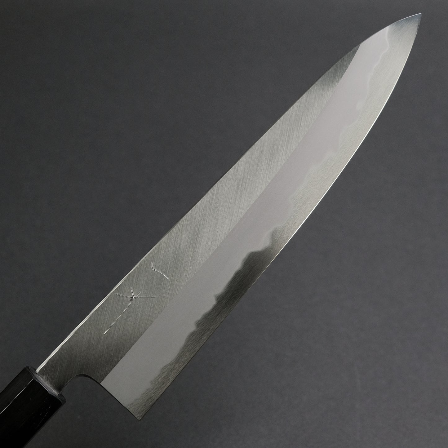 Hitohira Tanaka Kyuzo Blue #1 Migaki Gyuto 240mm Taihei Makassar Ebony Handle