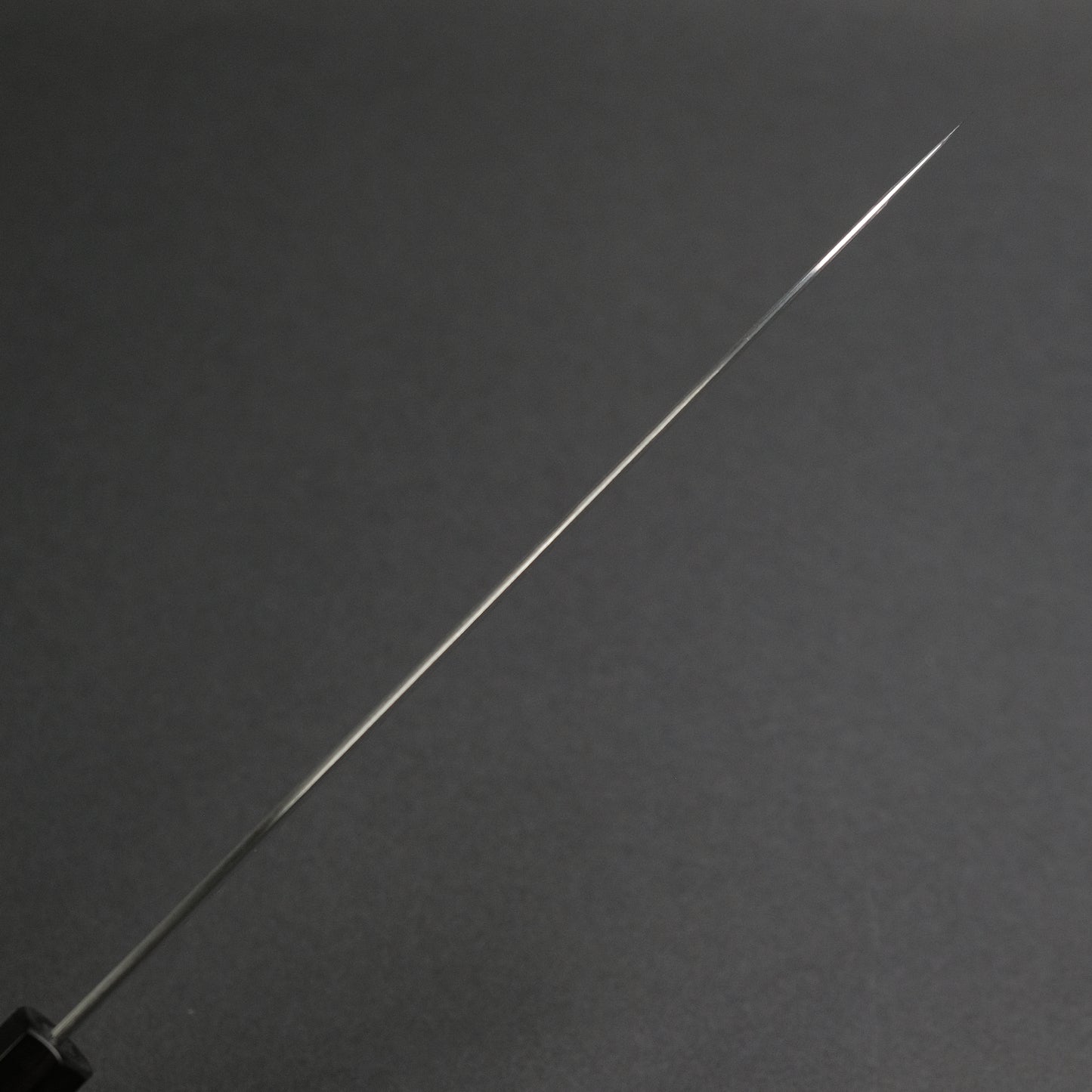 Hitohira Tanaka Kyuzo Blue #1 Migaki Gyuto 240mm Taihei Makassar Ebony Handle