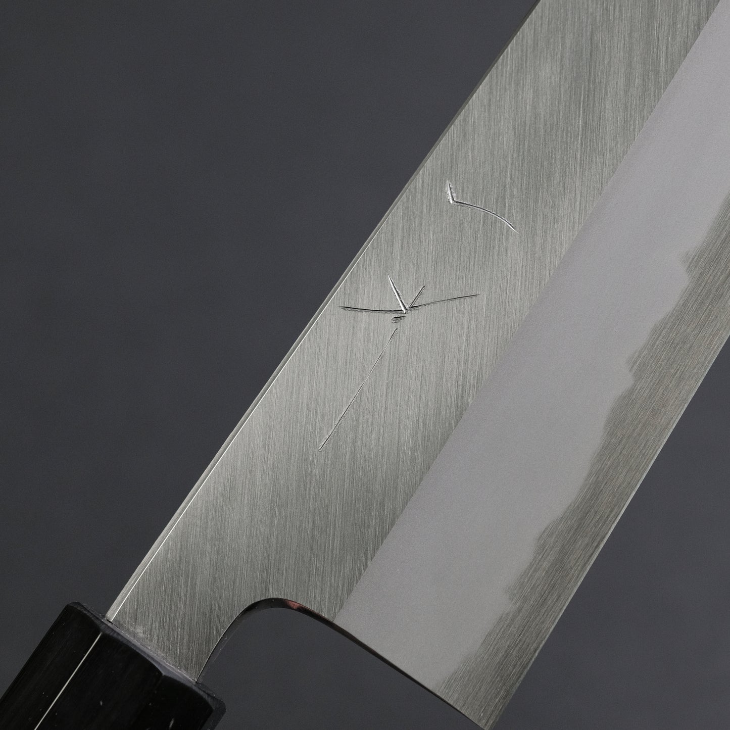 Hitohira Tanaka Kyuzo Blue #1 Migaki Gyuto 240mm Taihei Makassar Ebony Handle