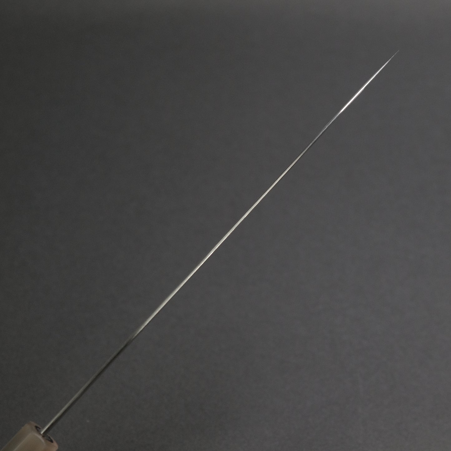 Hitohira Tanaka Kyuzo Blue #1 Migaki Gyuto 240mm Taihei Makassar Ebony Handle