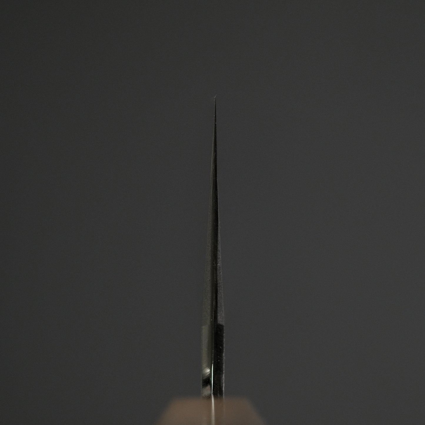 Hitohira Tanaka Kyuzo Blue #1 Migaki Gyuto 240mm Taihei Makassar Ebony Handle