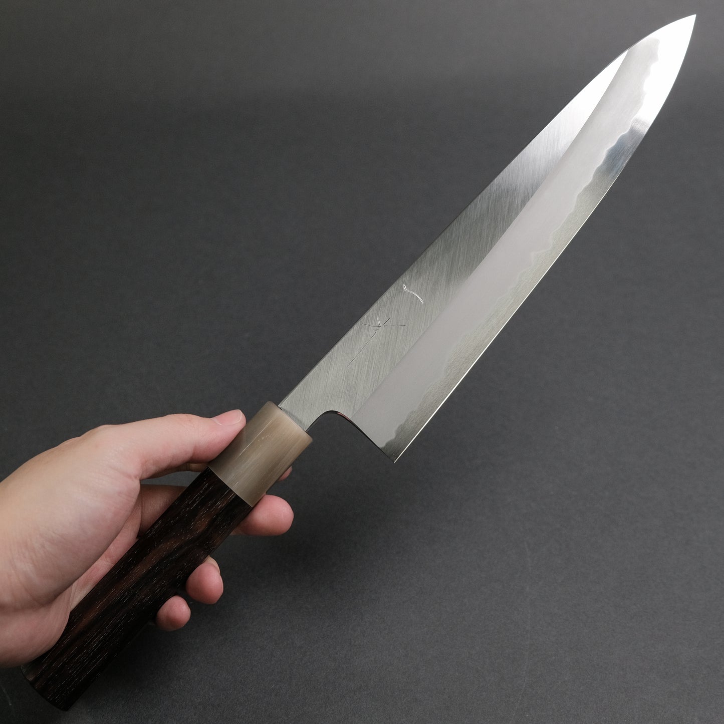 Hitohira Tanaka Kyuzo Blue #1 Migaki Gyuto 240mm Taihei Makassar Ebony Handle