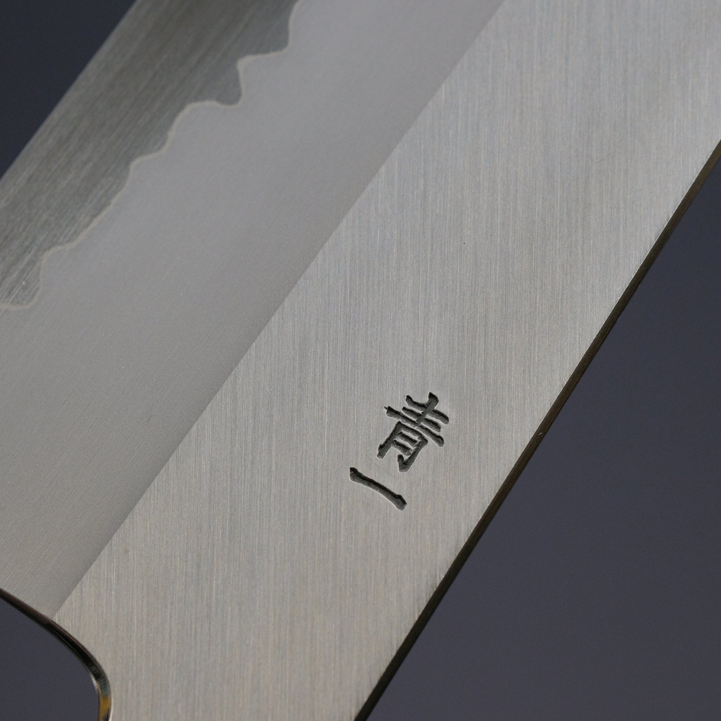 Hitohira Tanaka Kyuzo Blue #1 Stainless Clad Gyuto 240mm Taihei Ebony Handle
