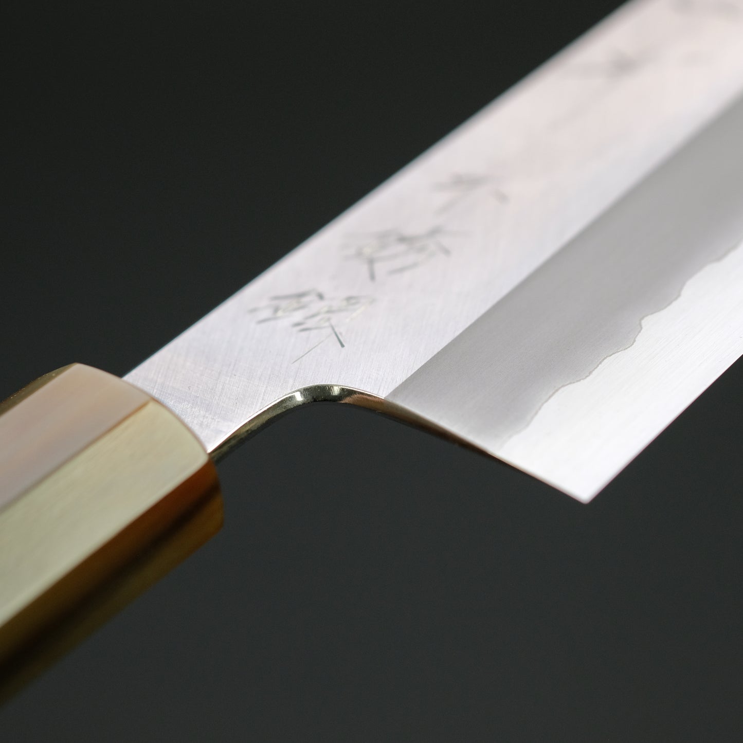 Hitohira Tanaka Kyuzo Blue #1 Stainless Clad Gyuto 240mm Taihei Ebony Handle