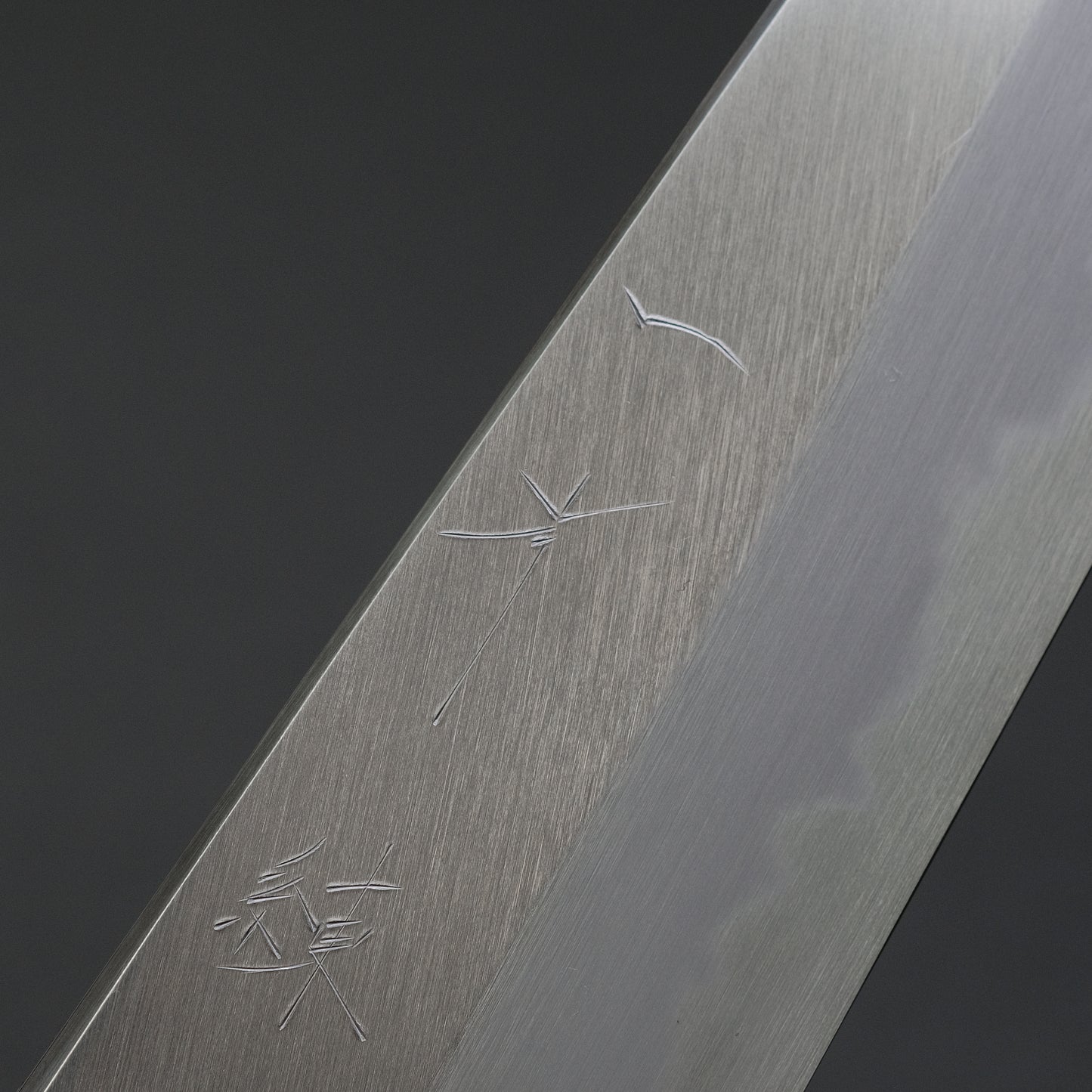 Hitohira Tanaka Ren White #2 Gyuto 210mm Ho Wood Handle
