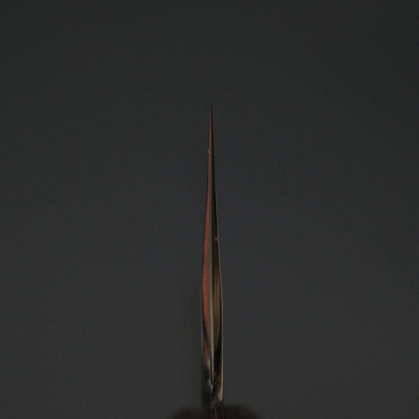 Hitohira Togashi Blue #2 Kurouchi Gyuto 210mm Cherry Wood Handle (Ebony End)