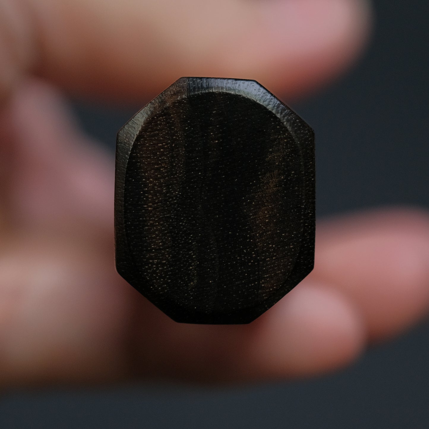 Hitohira Togashi Blue #2 Kurouchi Gyuto 210mm Cherry Wood Handle (Ebony End)