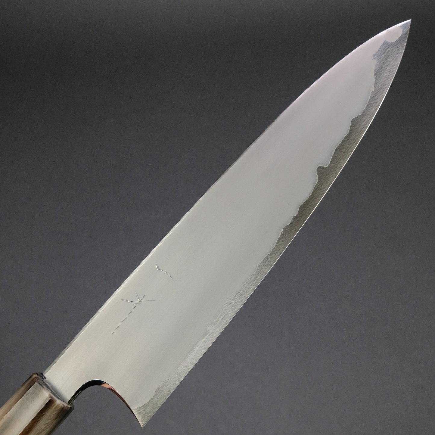 Hitohira Togashi White #1 Stainless Clad Kasumi Gyuto 210mm Ebony Handle