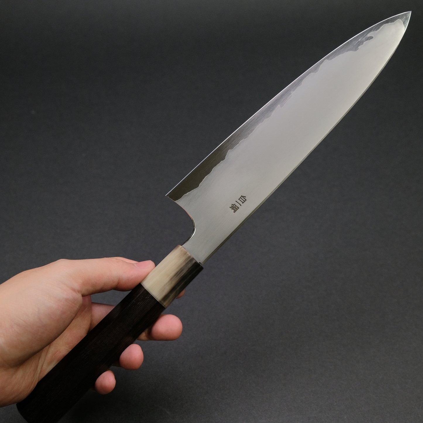 Hitohira Togashi White #1 Stainless Clad Kasumi Gyuto 210mm Ebony Handle