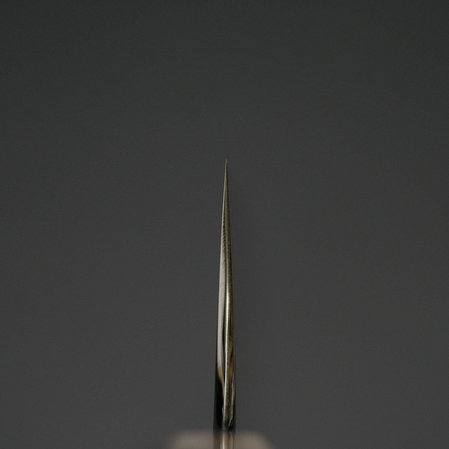 Hitohira Togashi White #1 Stainless Clad Kasumi Gyuto 210mm Ebony Handle