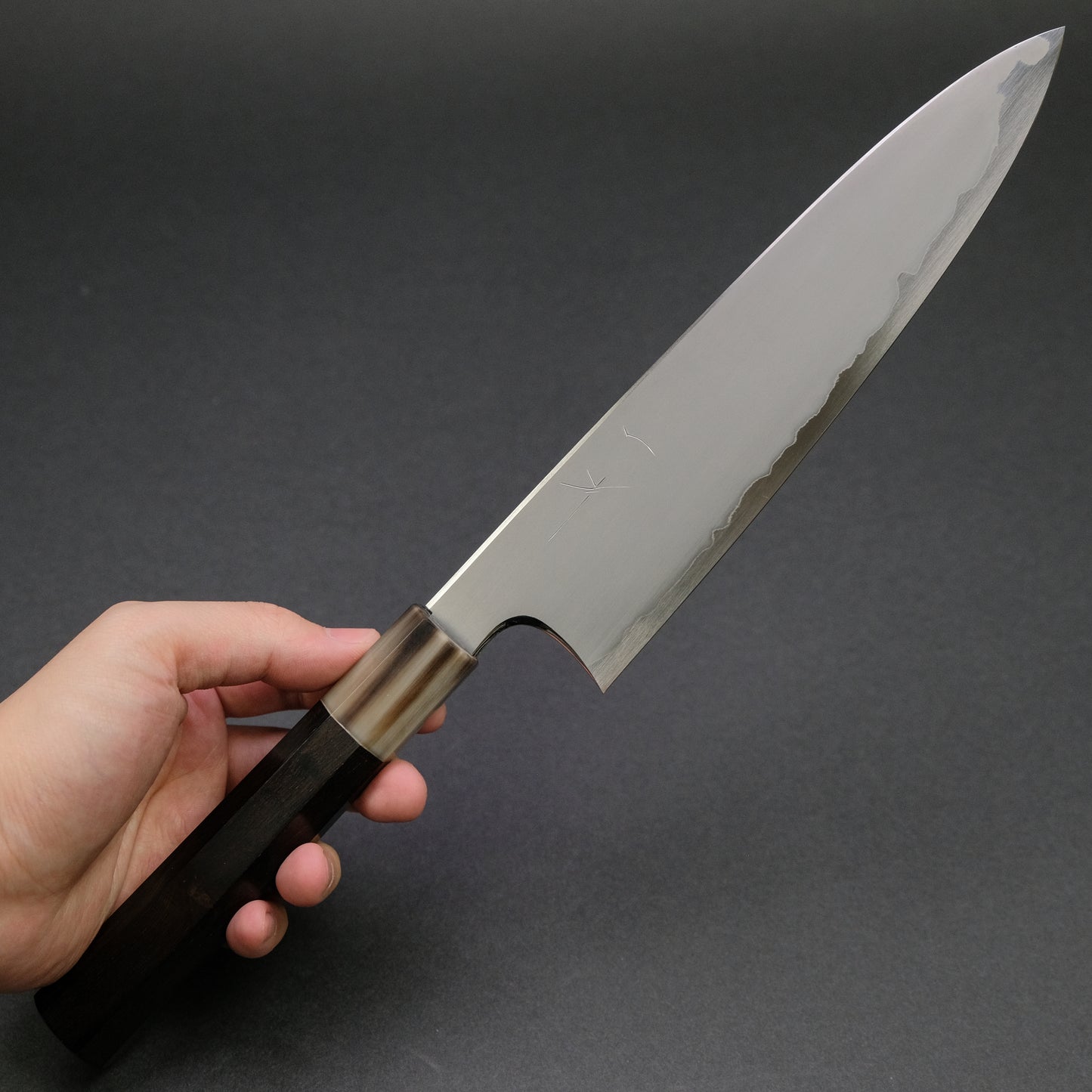 Hitohira Togashi White #1 Stainless Clad Kasumi Gyuto 210mm Ebony Handle