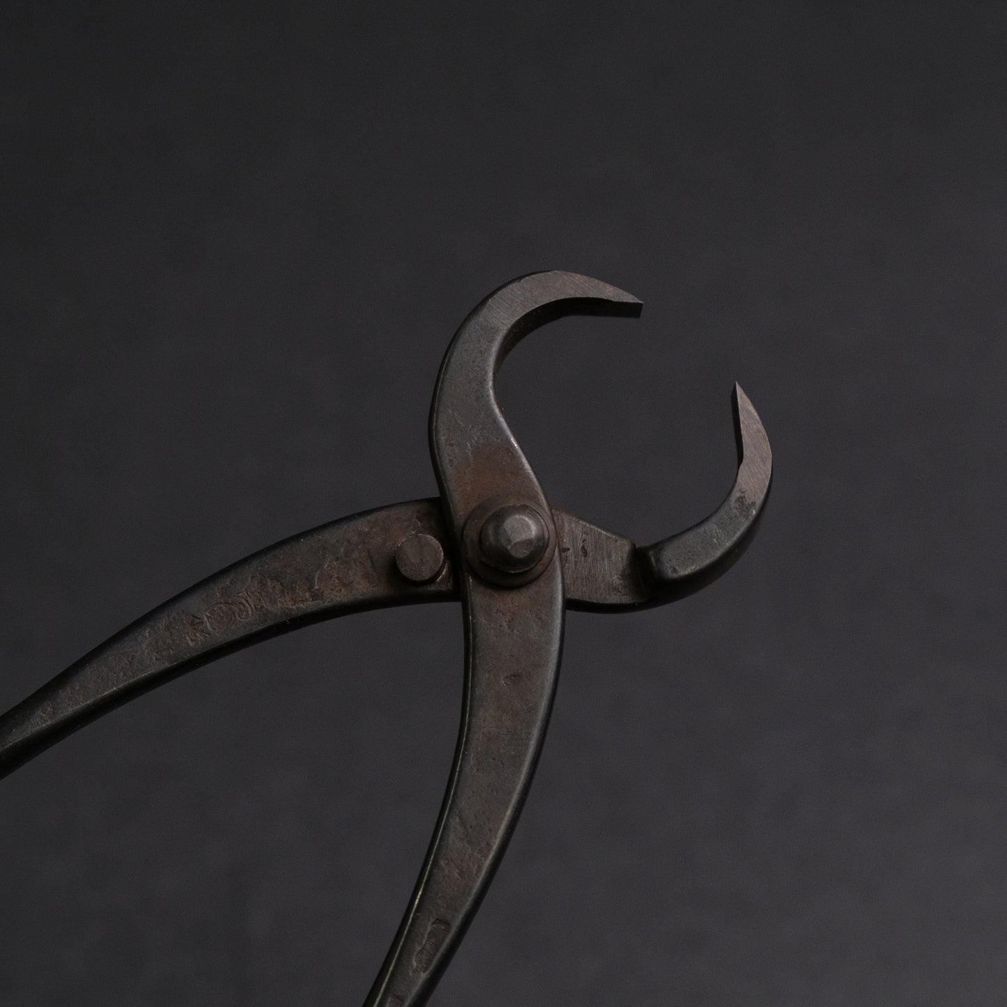 Masakuni Bonsai Tools