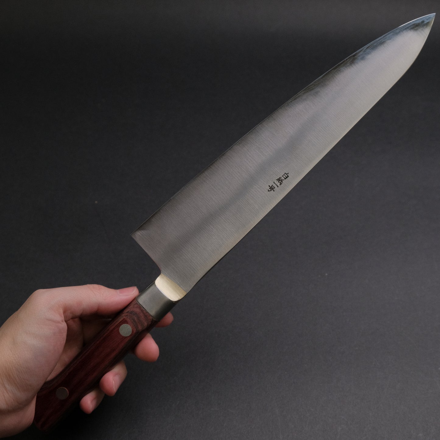 Kogetsu White #1 Gyuto 240mm Wine Pakka Handle