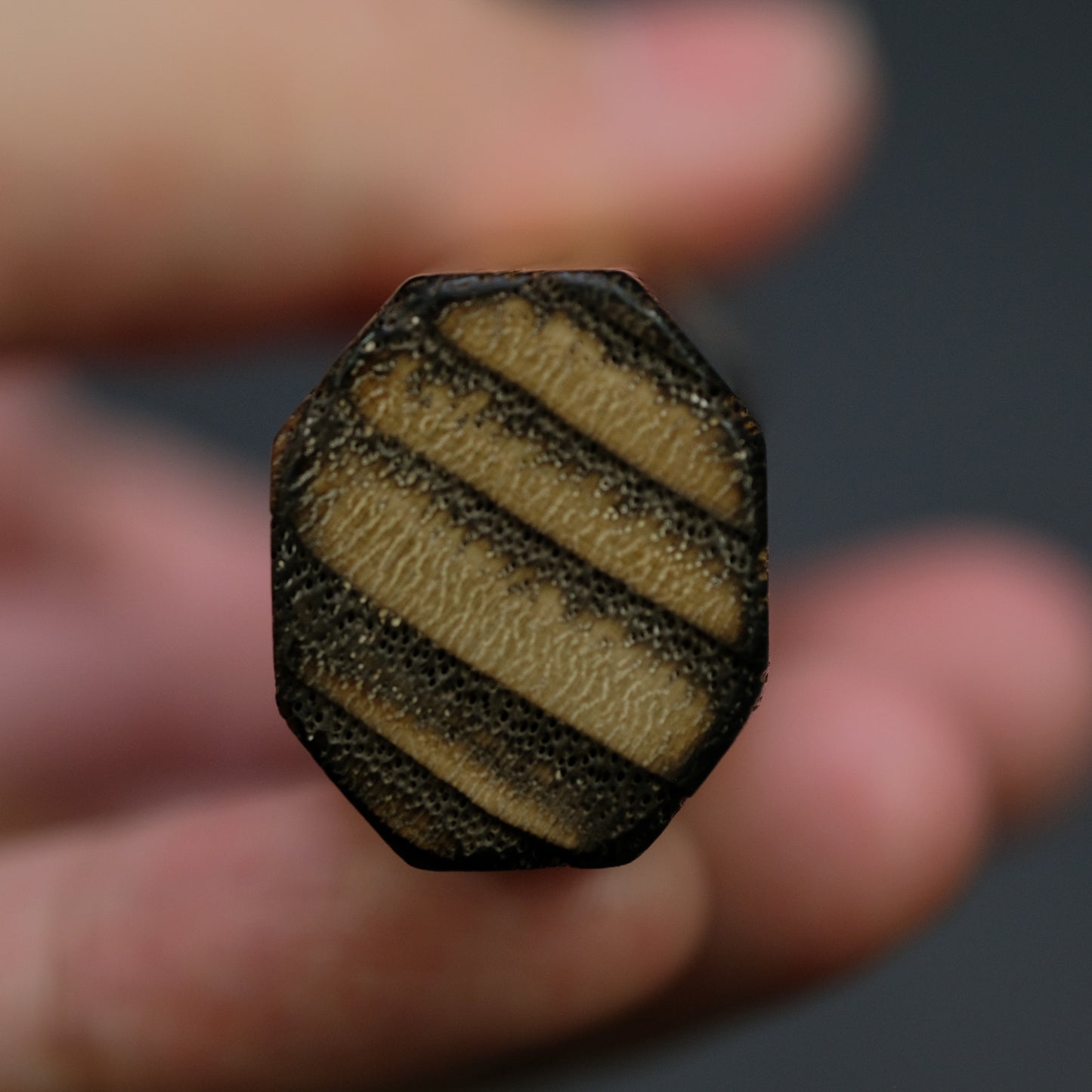 Konosuke MB White #2 Nashiji Kurouchi Petty 150mm Khii Chestnut Handle