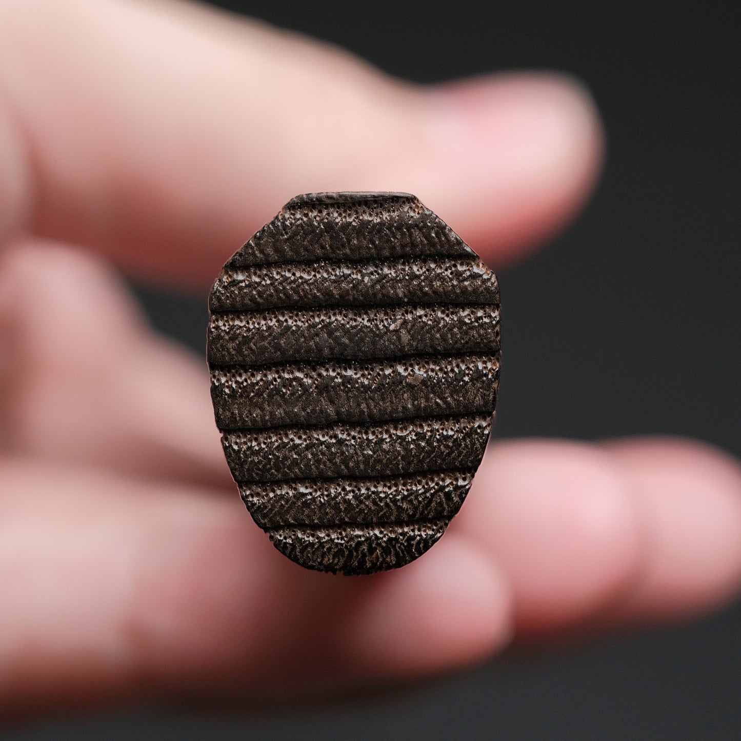 Konosuke Madei Sumiiro SLD Gyuto 210mm Burnt Chestnut Handle