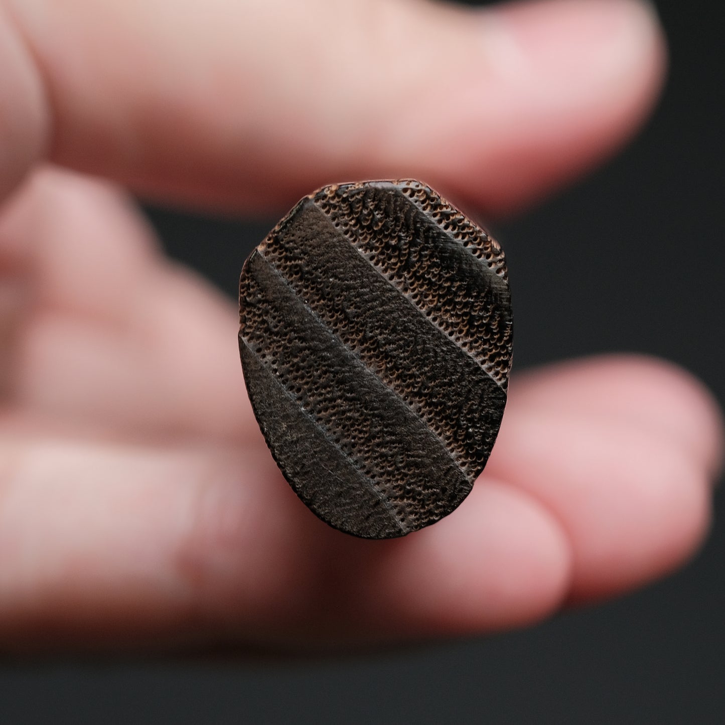 Konosuke Madei Sumiiro SLD Petty 150mm Burnt Chestnut Handle