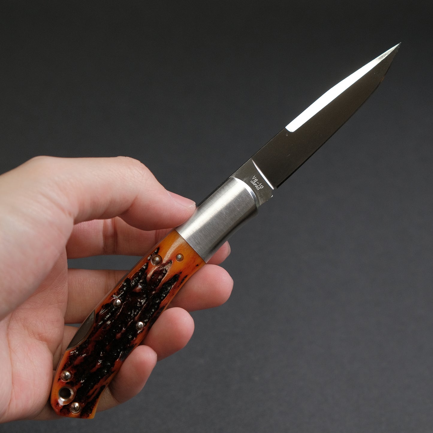 MOKI Kronos Folding Knife Large Stag Handle