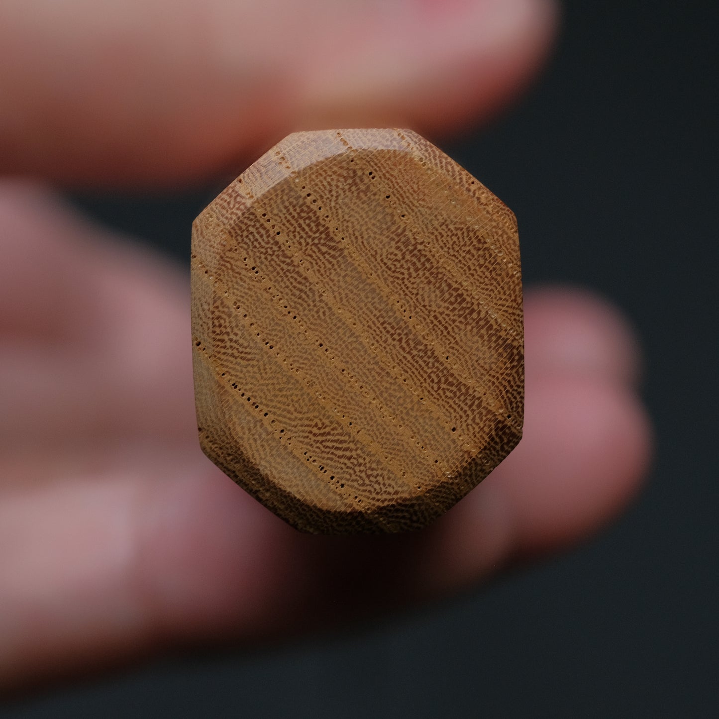 Morihei Hisamoto Kurouchi White #2 Extra Height Gyuto 210mm Keyaki Zelkova Handle