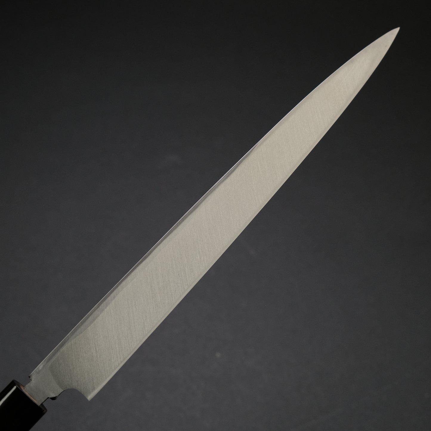 Morihei Hisamoto Vintage Left Handed Fugubiki 240mm Magnolia Handle (Carbon)