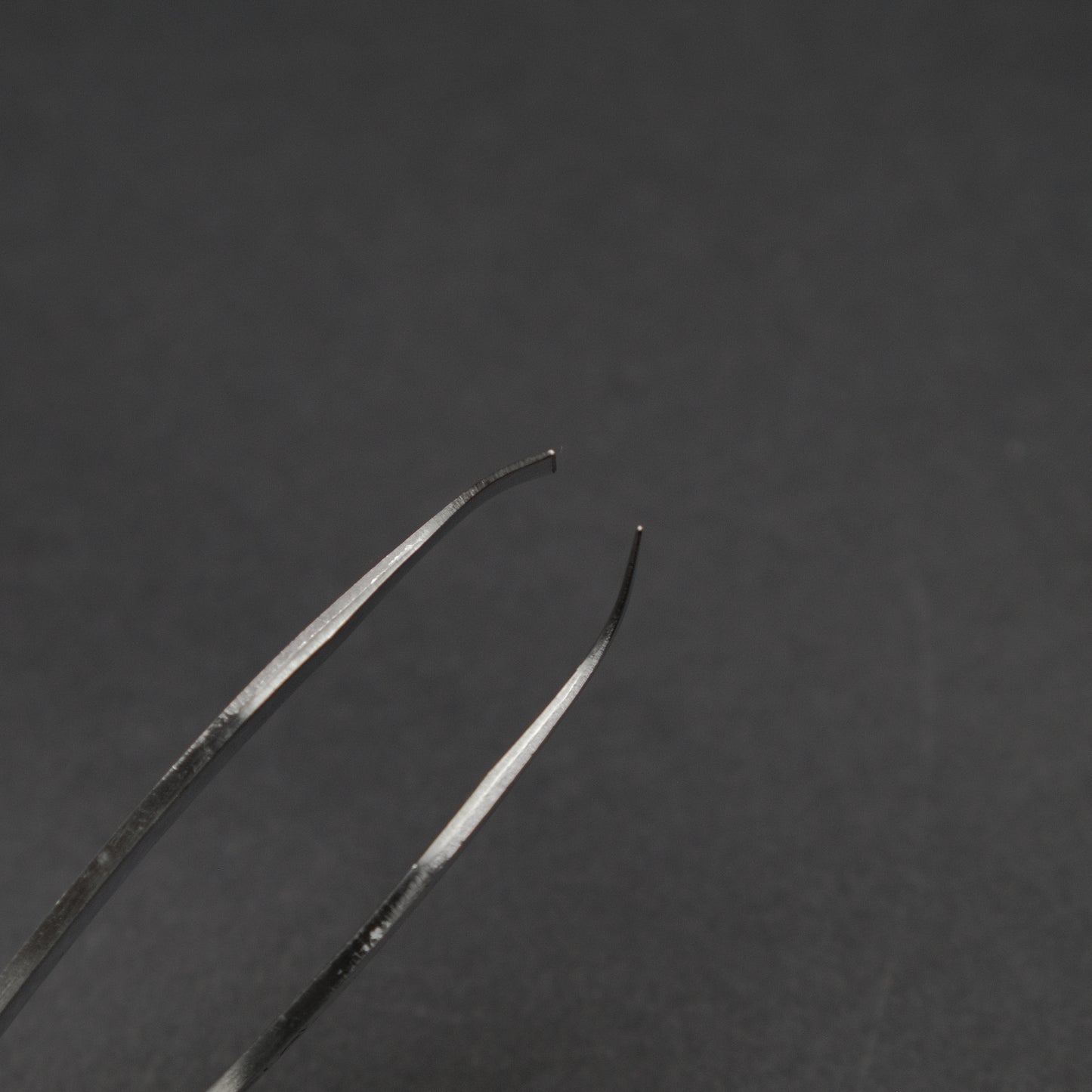 Morihei Itamae Fish Tweezer 120mm