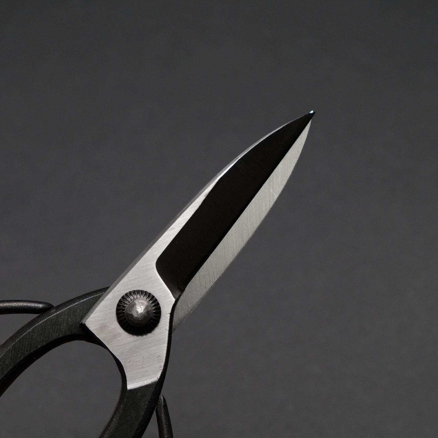 Morihei Kikuyu Kurouchi Okubo Pruning Shears 195mm (Narrow)