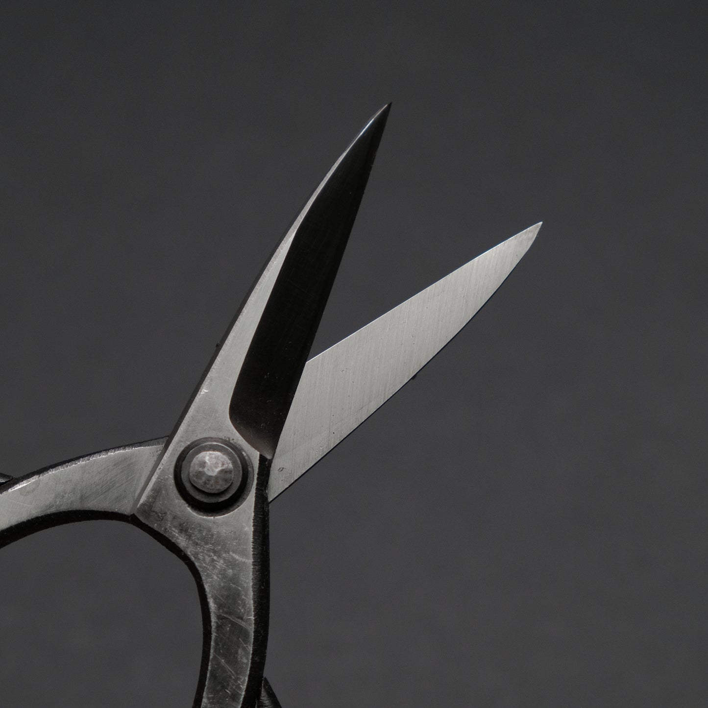 Morihei Kisaku Bonsai Pruning Shears 180mm (#56)