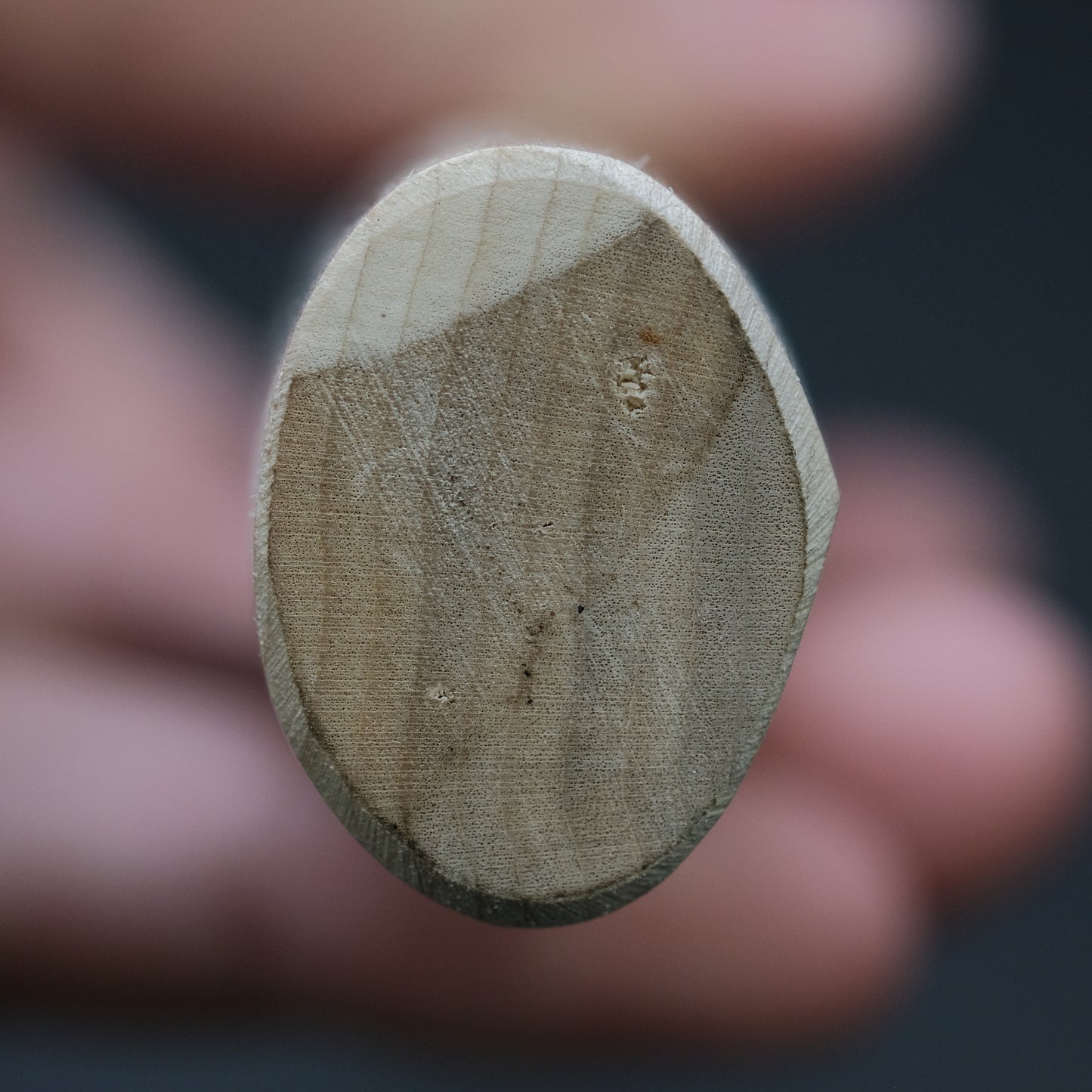 Mumei Stainless Yanagiba 300mm Ho Wood Handle