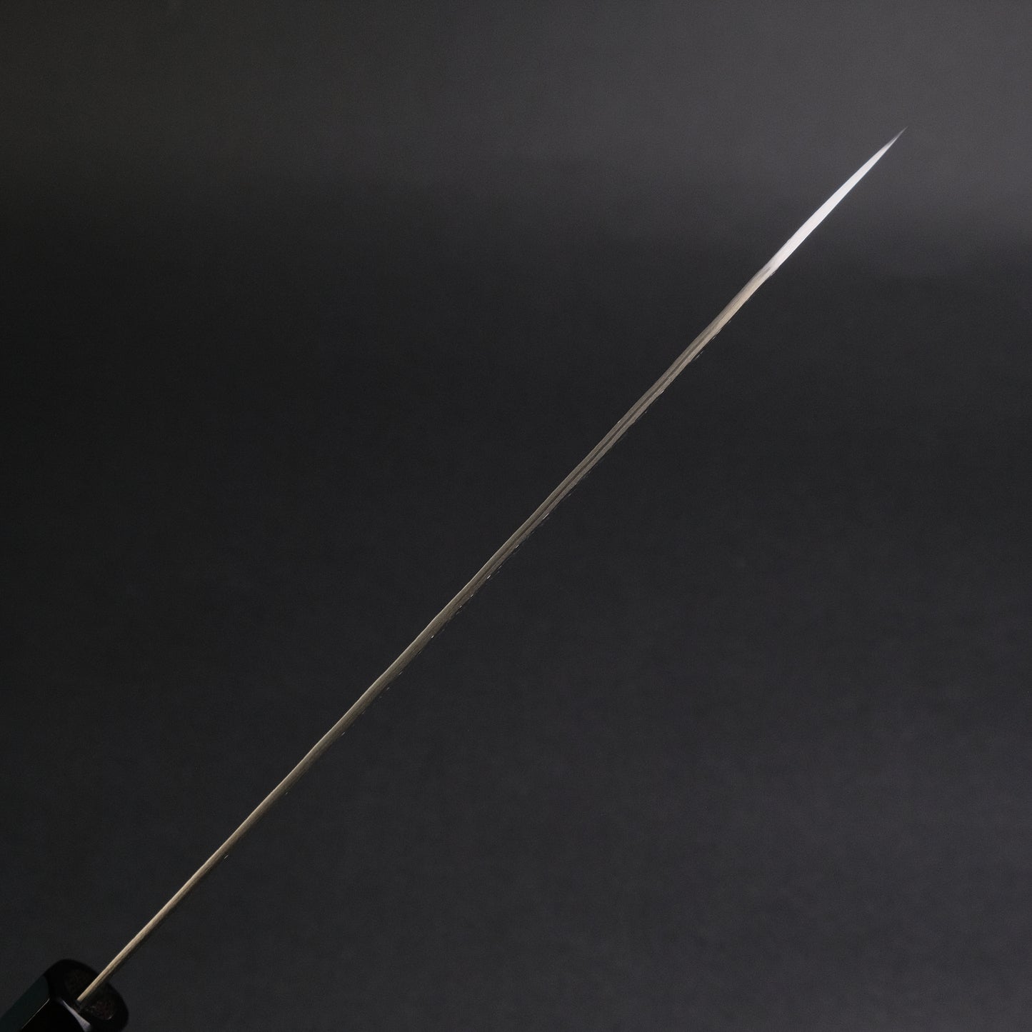 Nigara SG STRIX Gyuto 240mm Ebony Handle