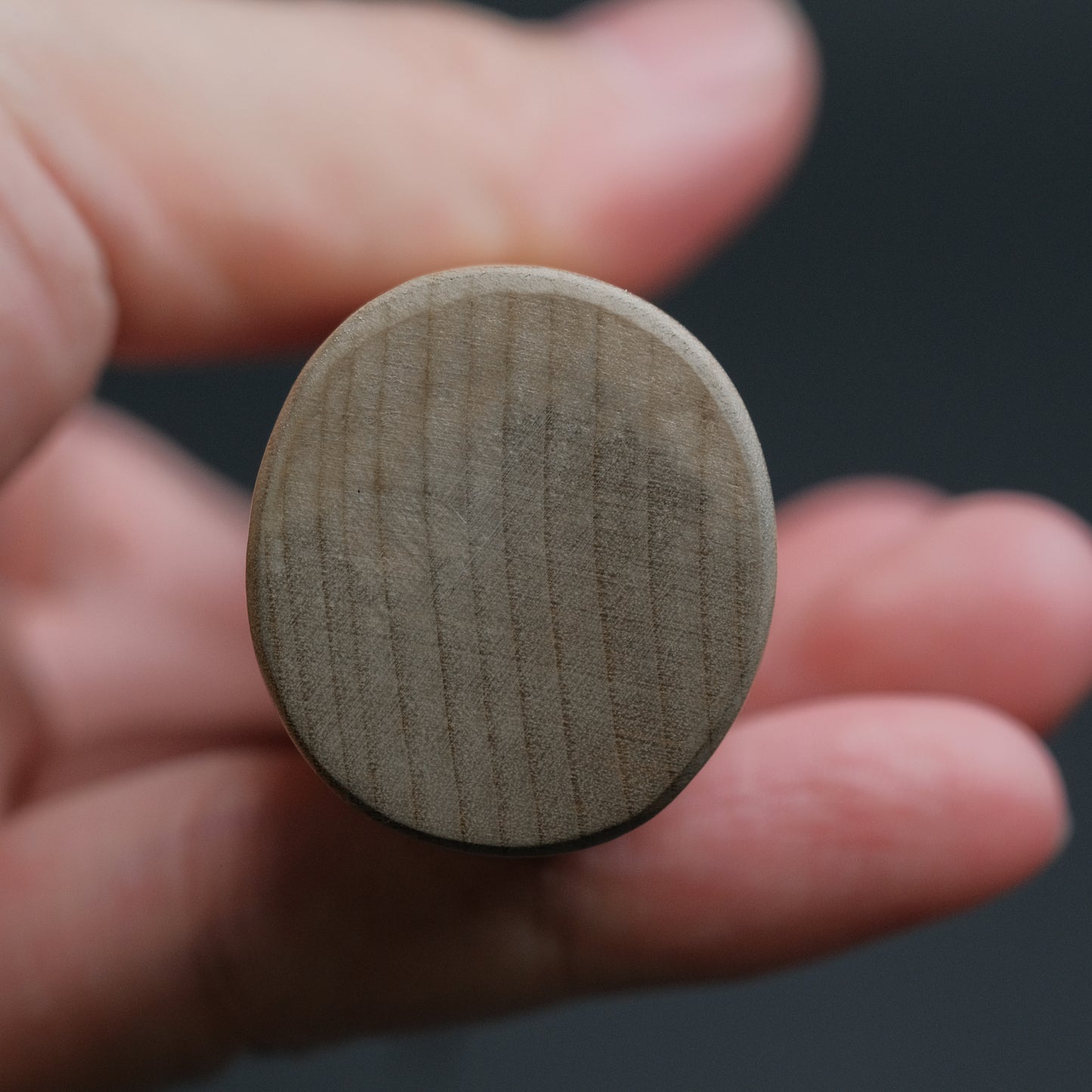 Sakai Kikumori Shironiko White #2 Deba 165mm Magnolia Handle