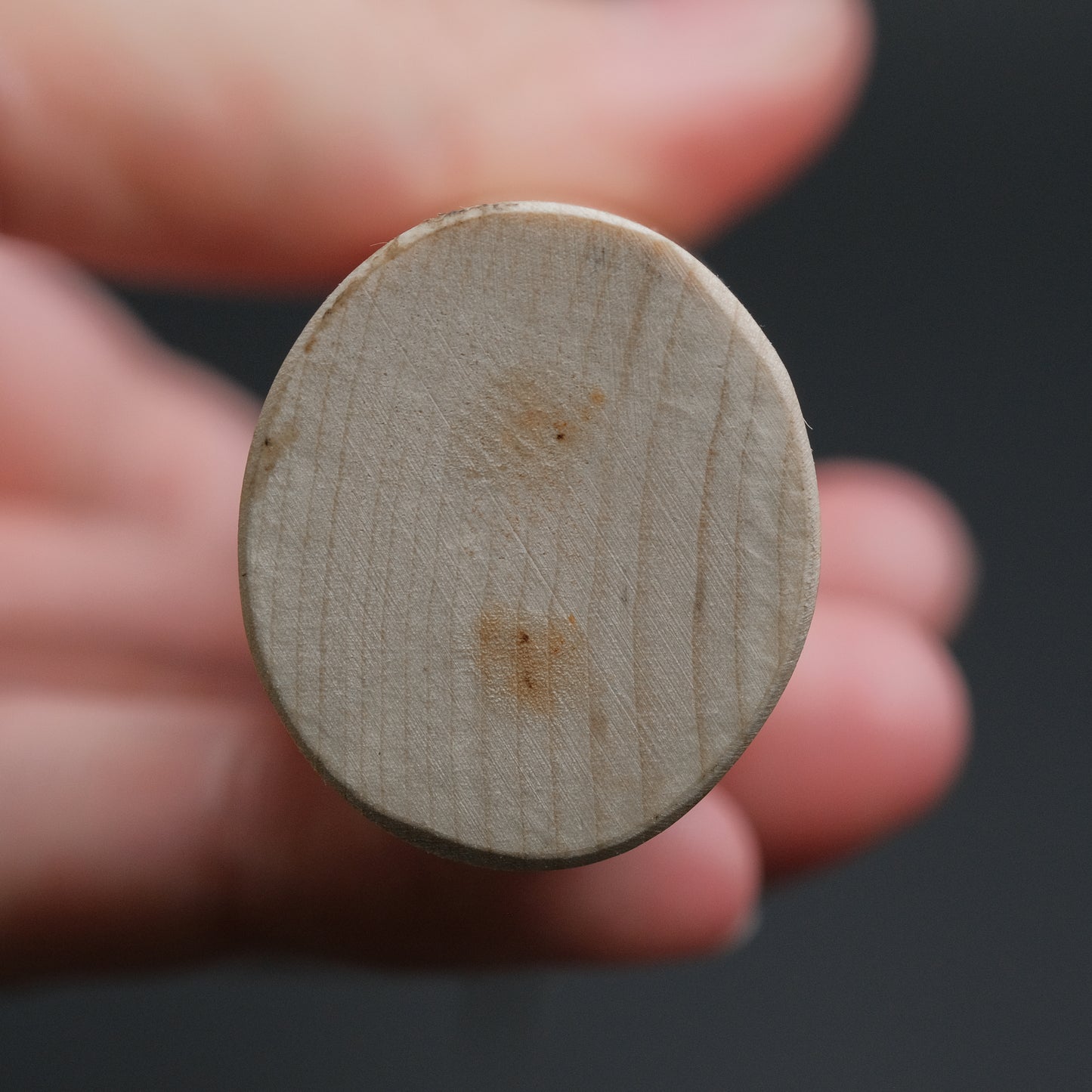 Sakai Kikumori Shironiko White #2 Deba 180mm Magnolia Handle