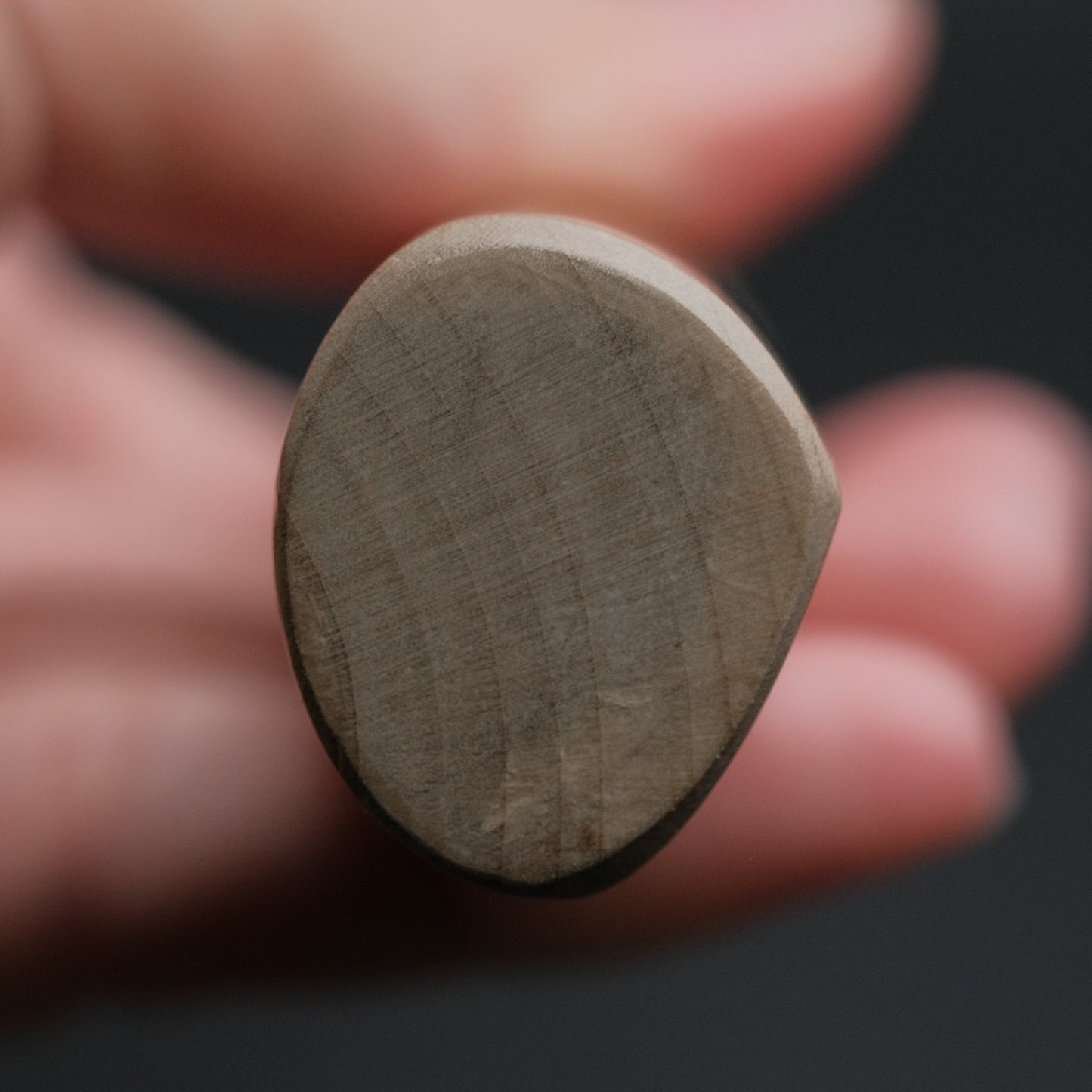 Sakai Kikumori Shironiko White #2 Yanagiba 270mm Magnolia Handle