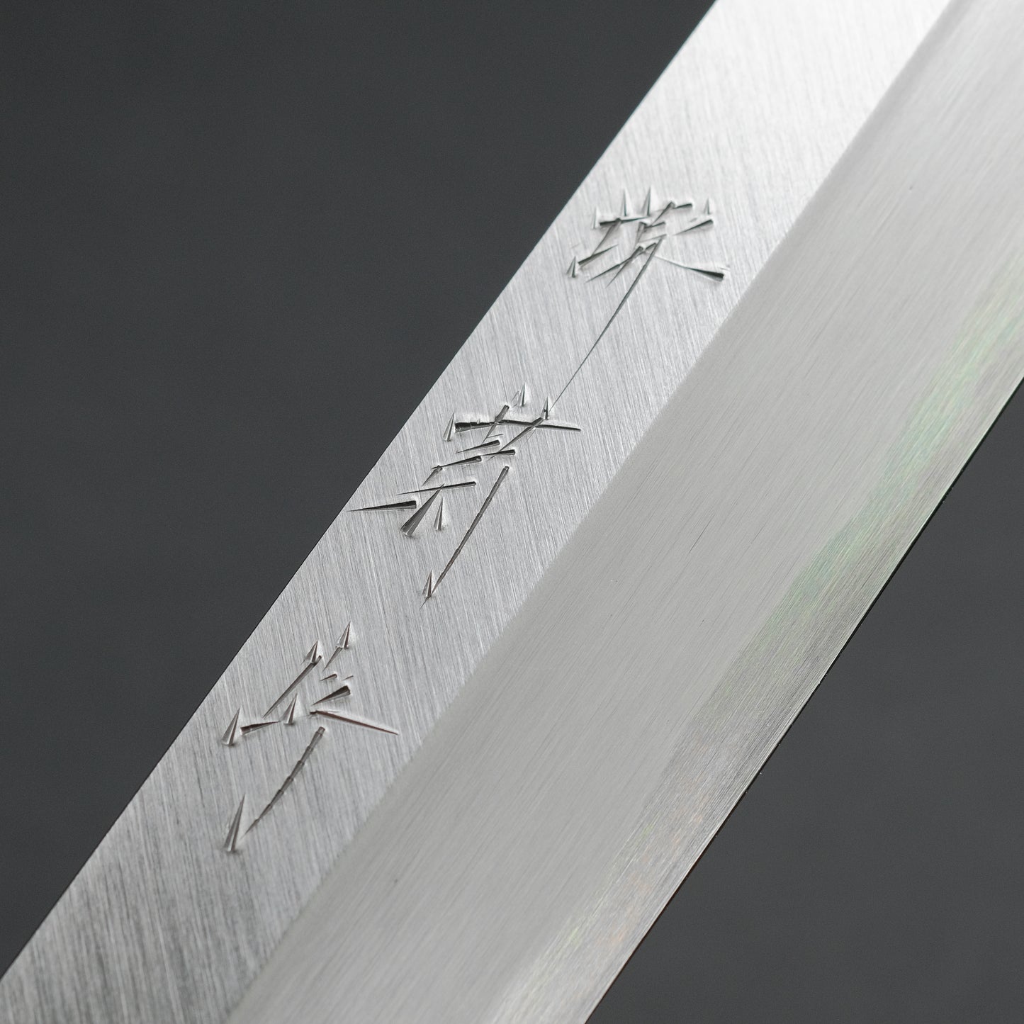 Sakai Kikumori Shironiko White #2 Yanagiba 300mm Magnolia Handle