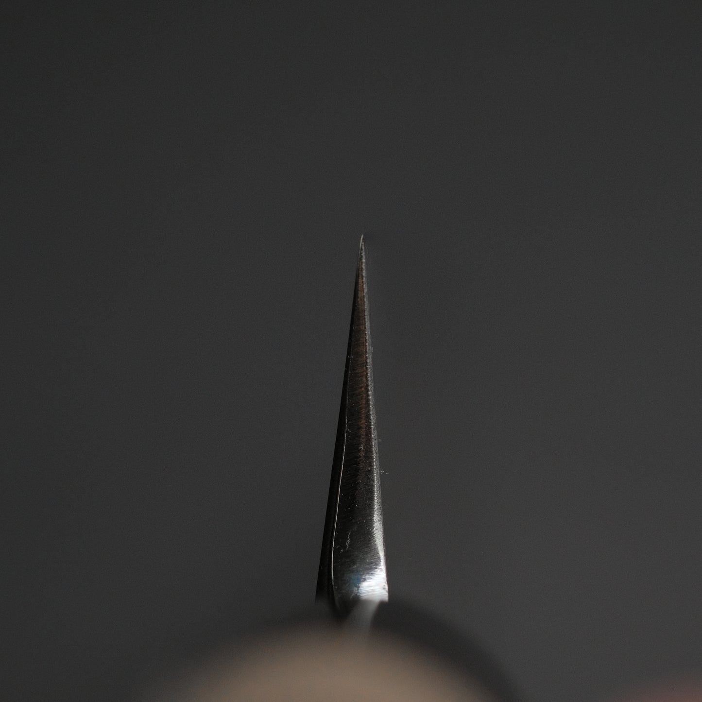 Sakai Kikumori Shironiko White #2 Yanagiba 300mm Magnolia Handle