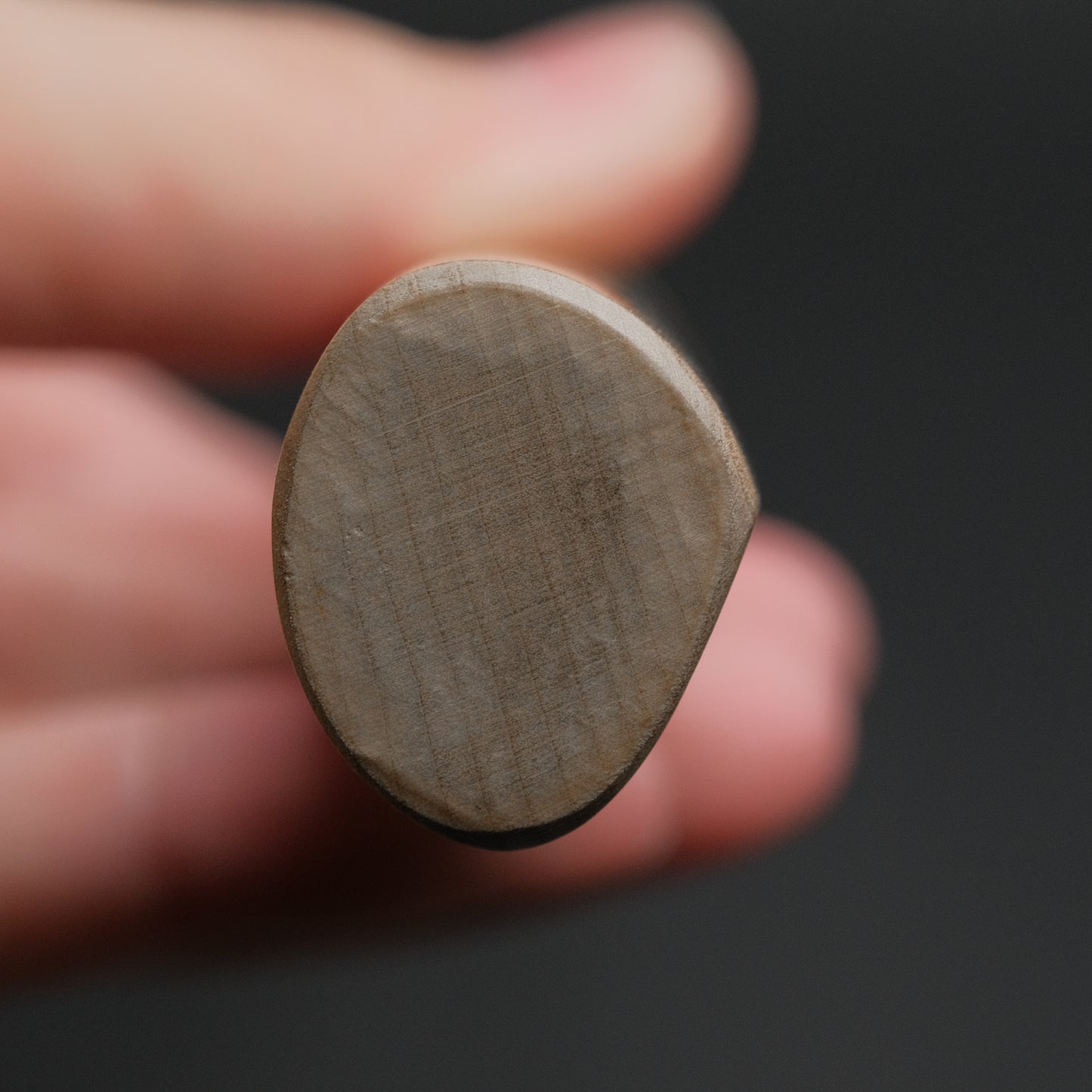 Sakai Kikumori Shironiko White #2 Yanagiba 300mm Magnolia Handle