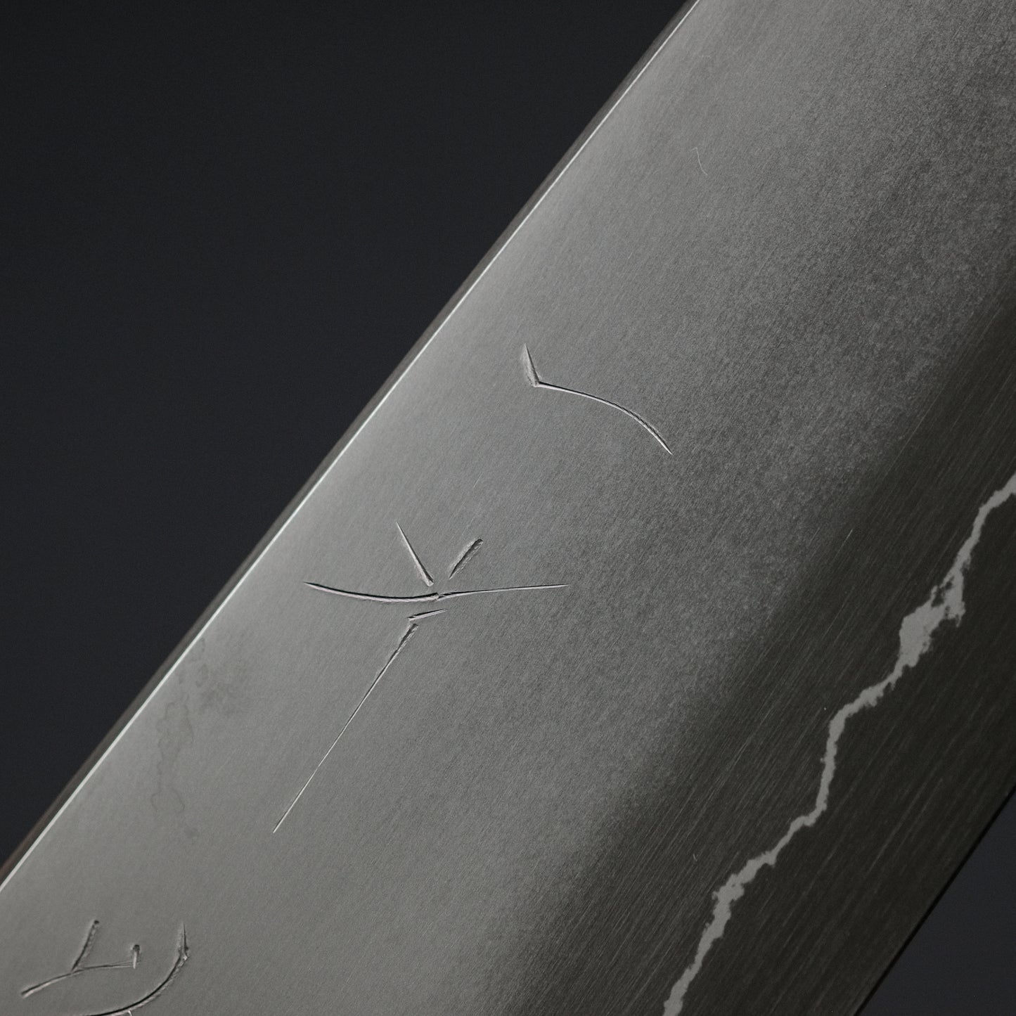 Hitohira Kikuchiyo Izo Silver #3 Gyuto 210mm Yakusugi Cedar Handle