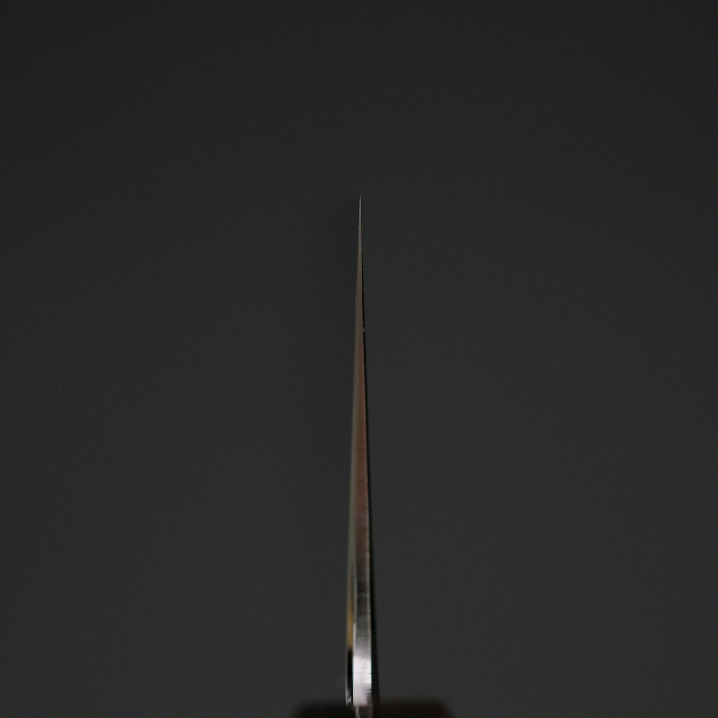 Hitohira Kikuchiyo Izo Silver #3 Gyuto 210mm Yakusugi Cedar Handle