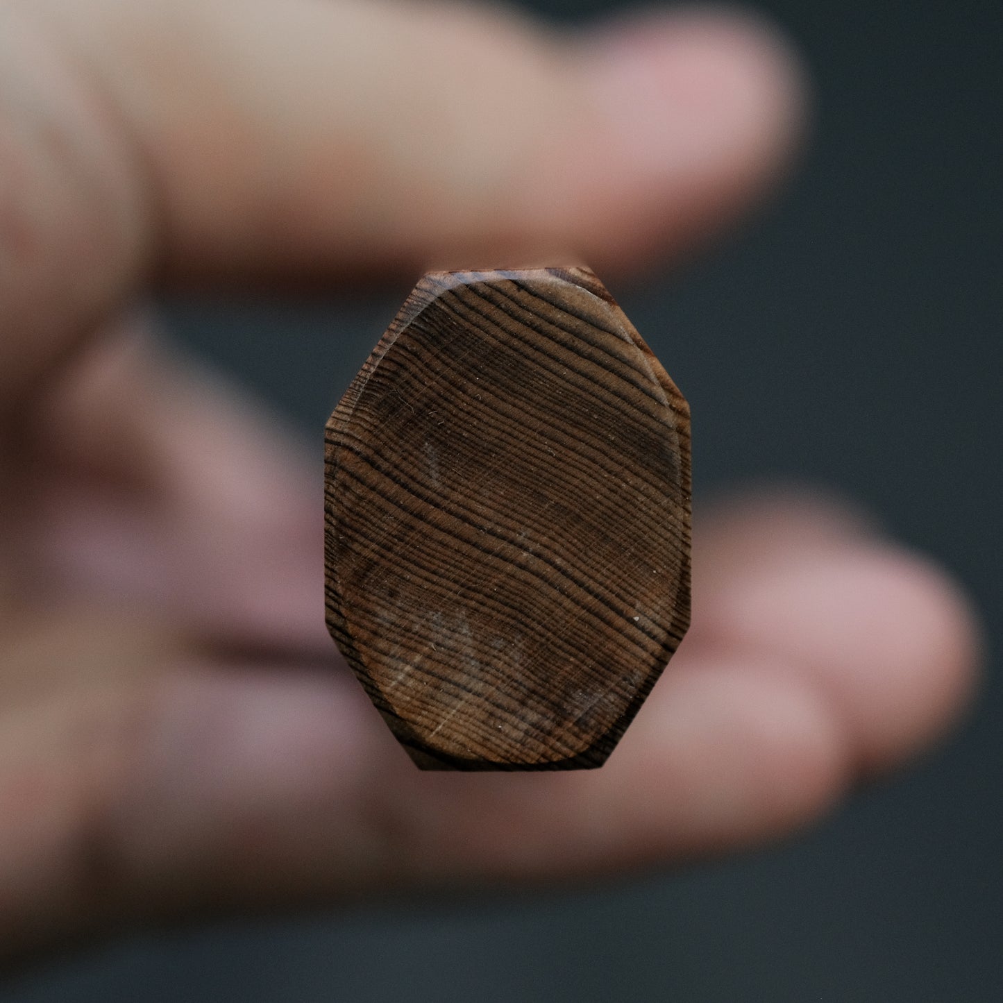 Hitohira Kikuchiyo Izo Silver #3 Gyuto 210mm Yakusugi Cedar Handle