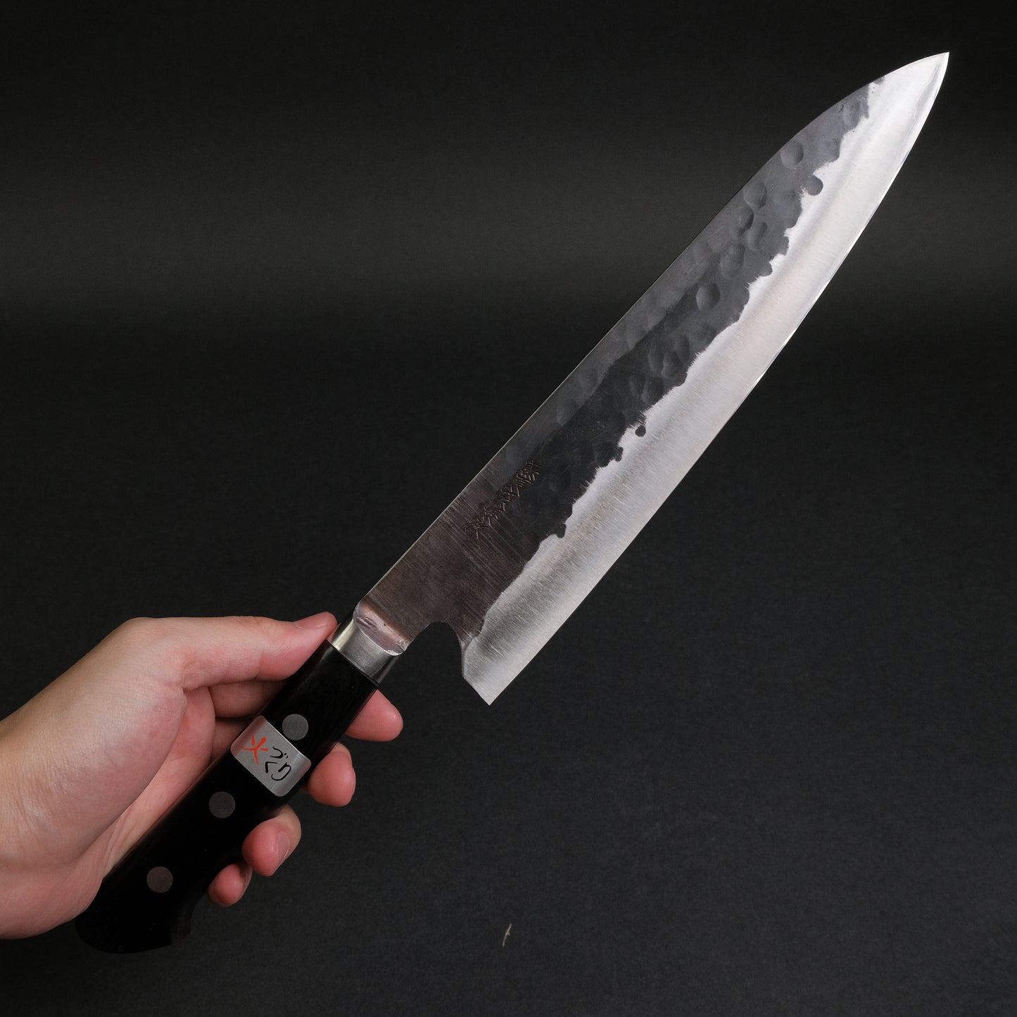 Teruyasu Fujiwara Denka Gyuto 240mm Pakka Wood Handle