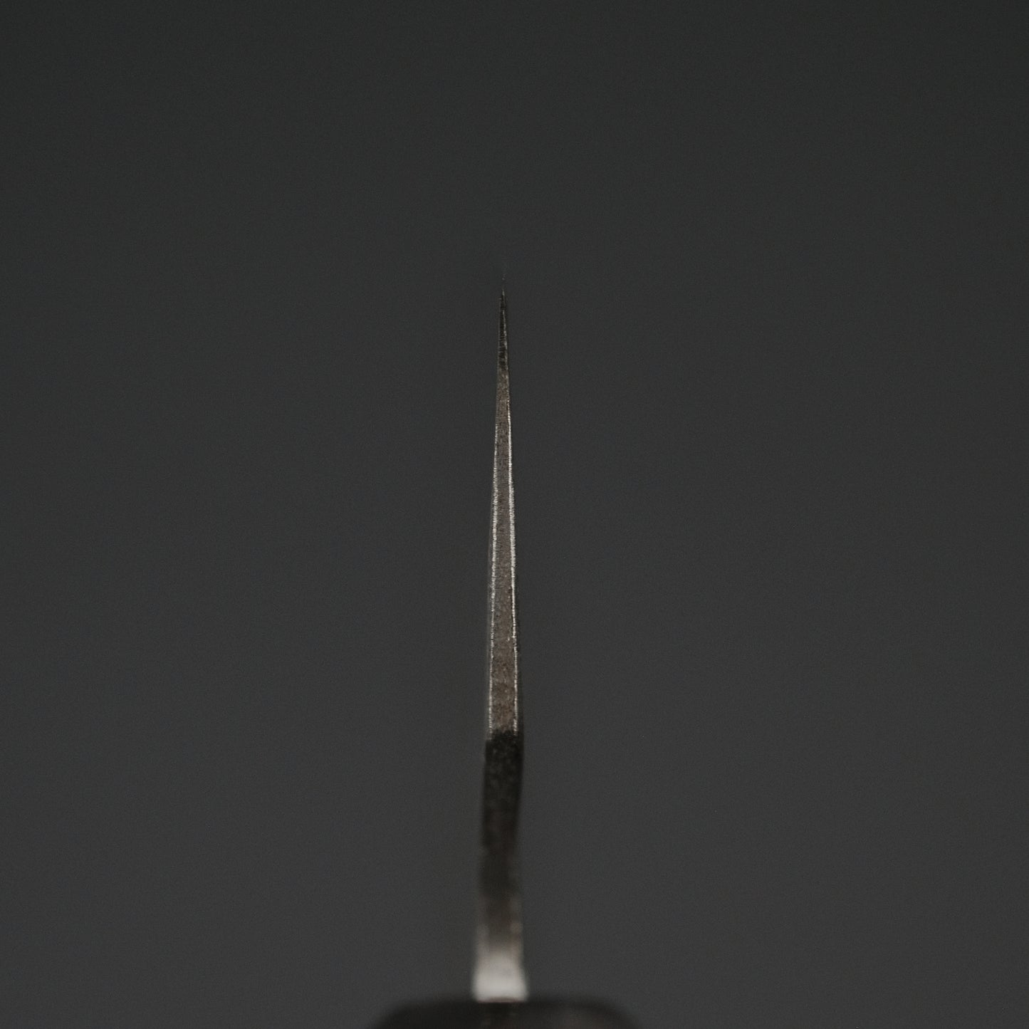 Teruyasu Fujiwara Maboroshi White #1 Gyuto 210mm Ho Wood Handle