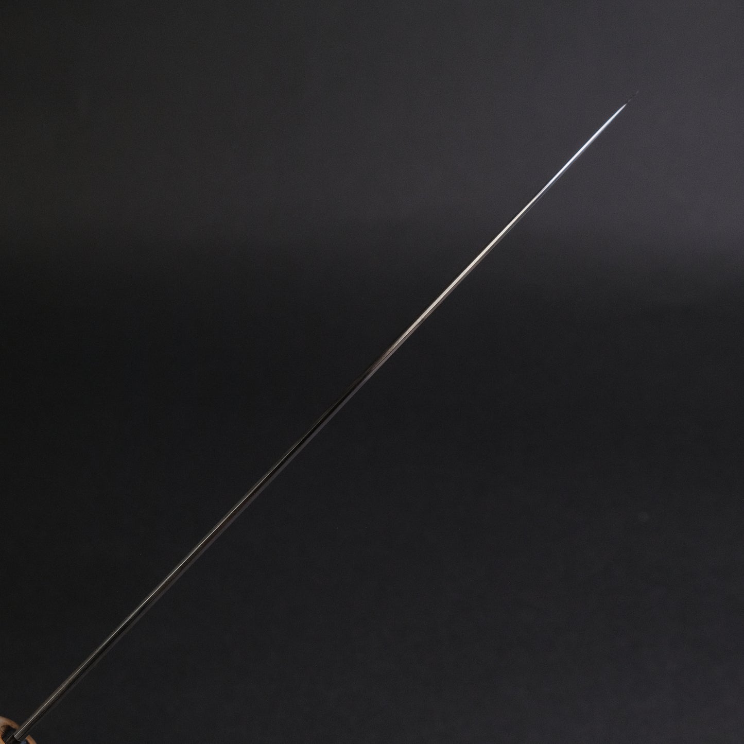 Tetsujin Blue #2 Kasumi Gyuto 240mm Ho Wood Handle