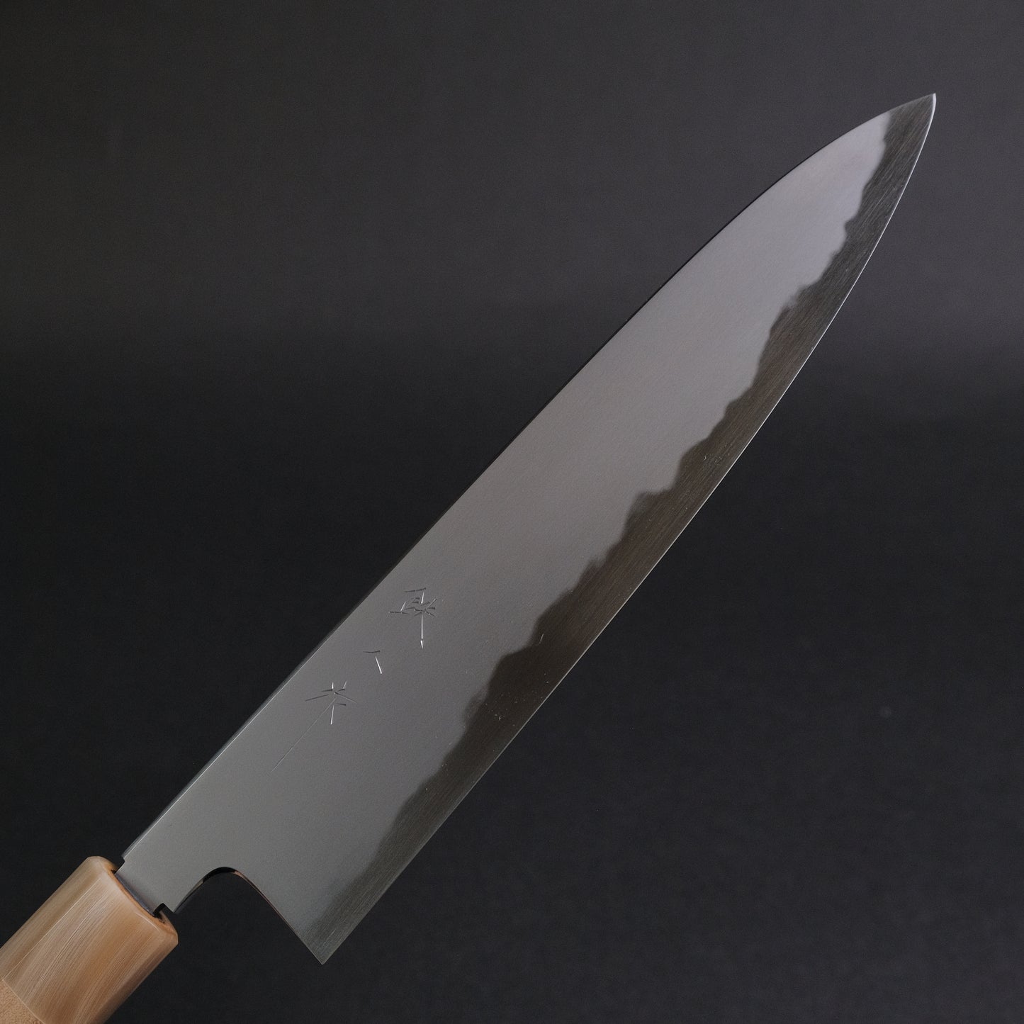 Tetsujin Blue #2 Kasumi Gyuto 240mm Ho Wood Handle