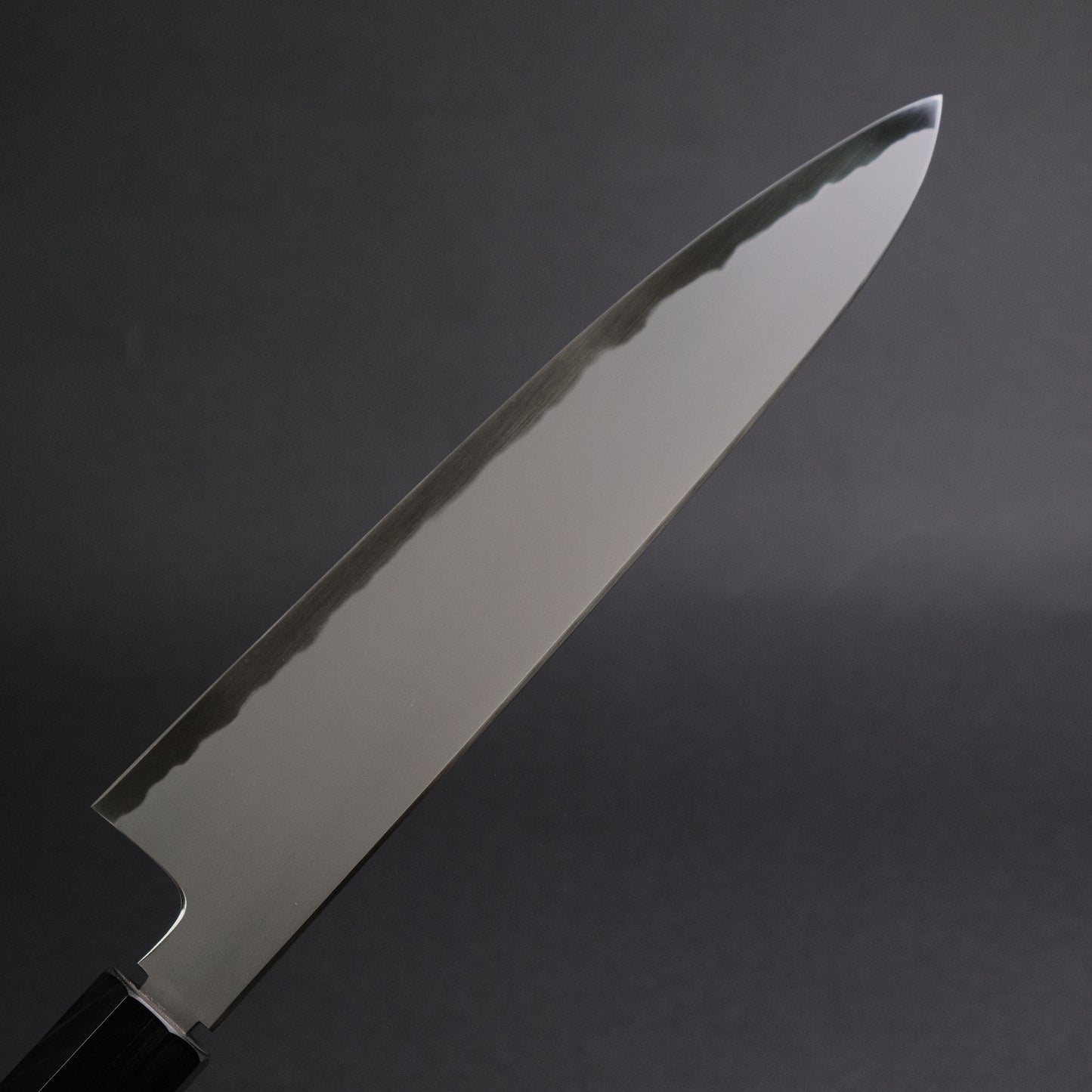 Tetsujin Blue #2 Kasumi Gyuto 240mm Taihei Rosewood Handle