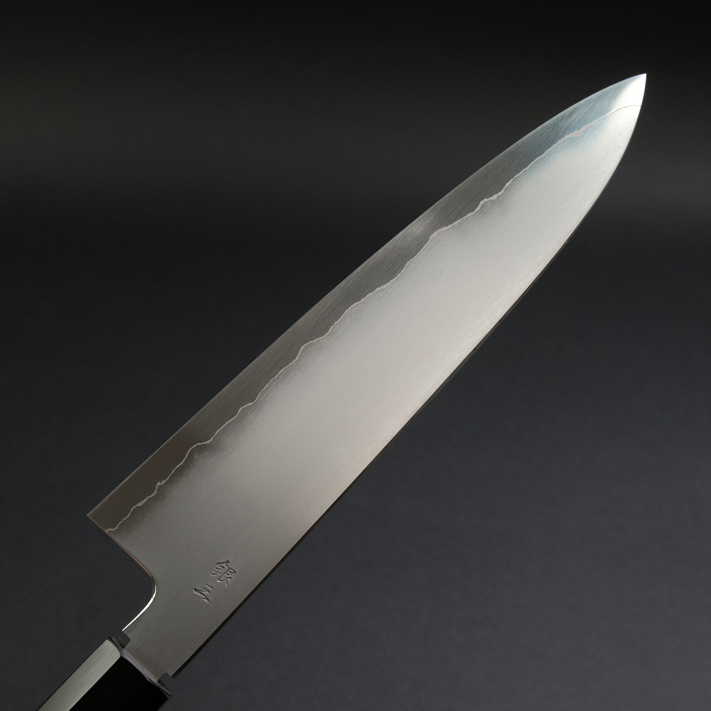 Tetsujin Silver #3 Kasumi Gyuto 210mm Taihei Tagayasan Handle