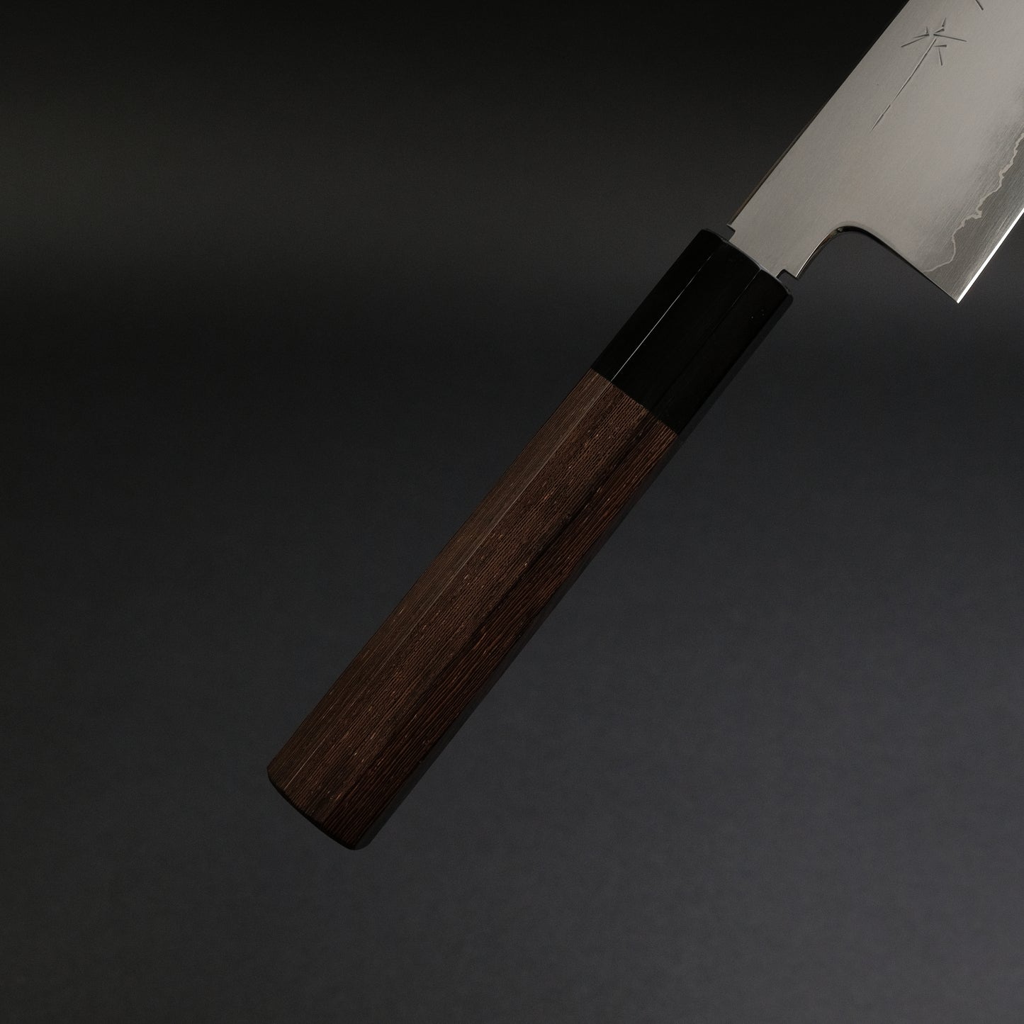 Tetsujin Silver #3 Kasumi Gyuto 210mm Taihei Tagayasan Handle