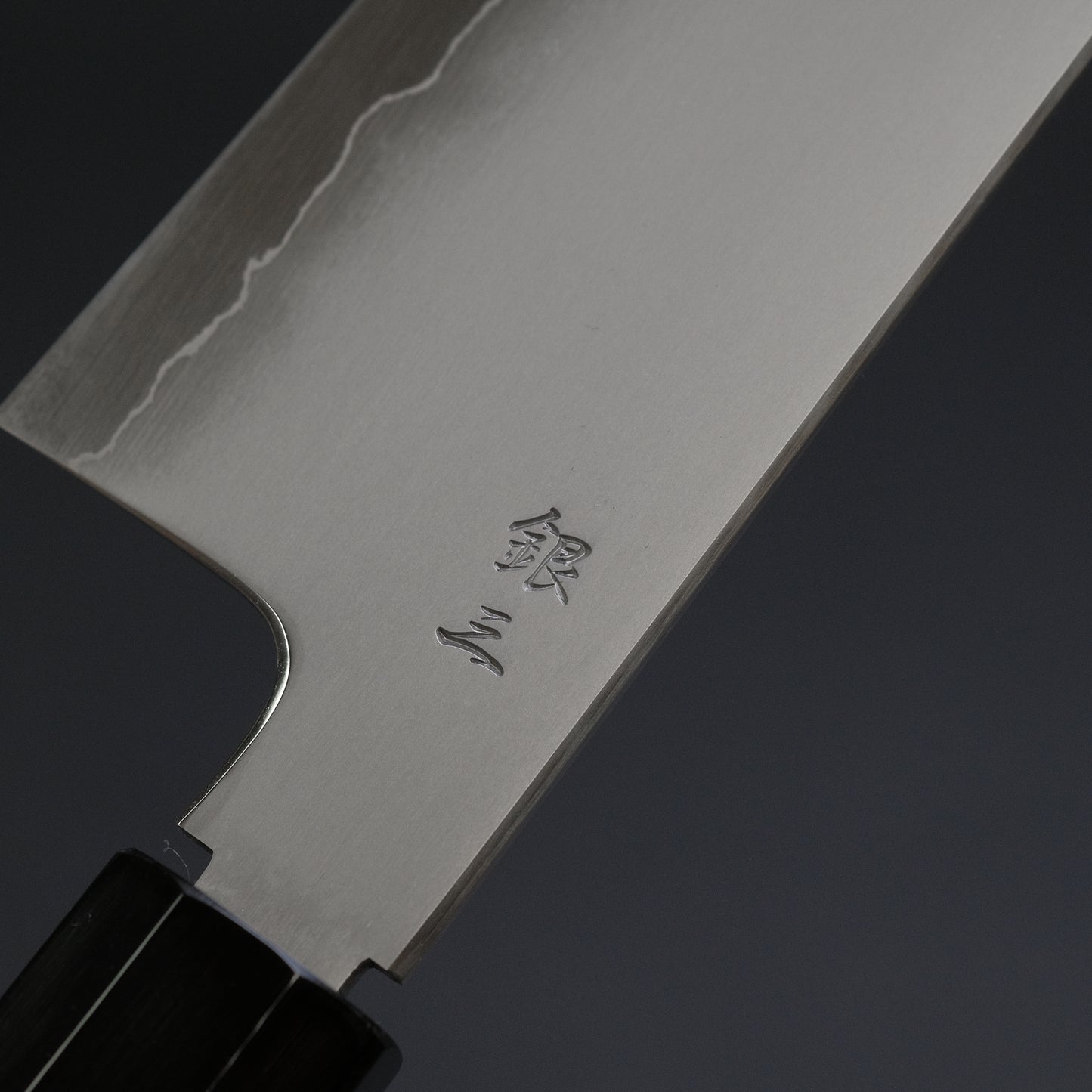 Tetsujin Silver #3 Kasumi Gyuto 210mm Taihei Tagayasan Handle