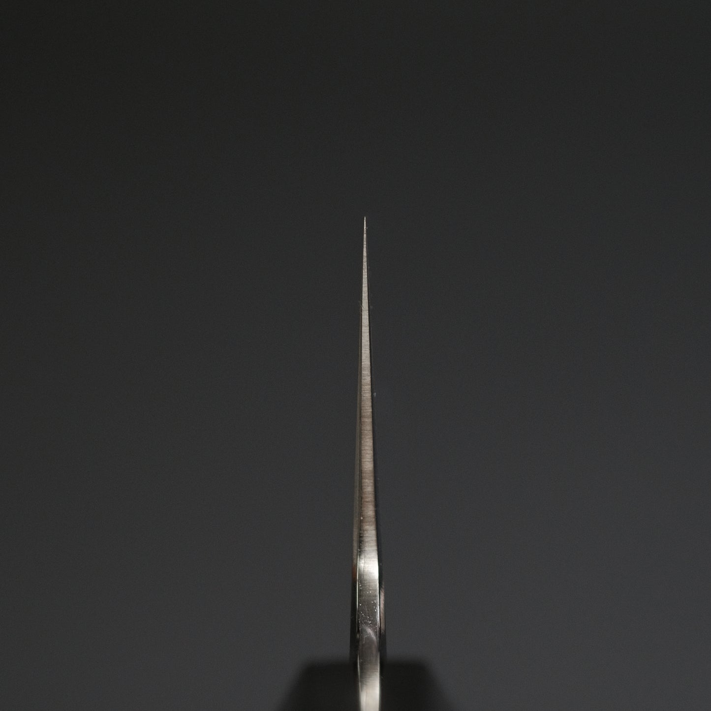 Tetsujin Silver #3 Kasumi Gyuto 210mm Taihei Tagayasan Handle