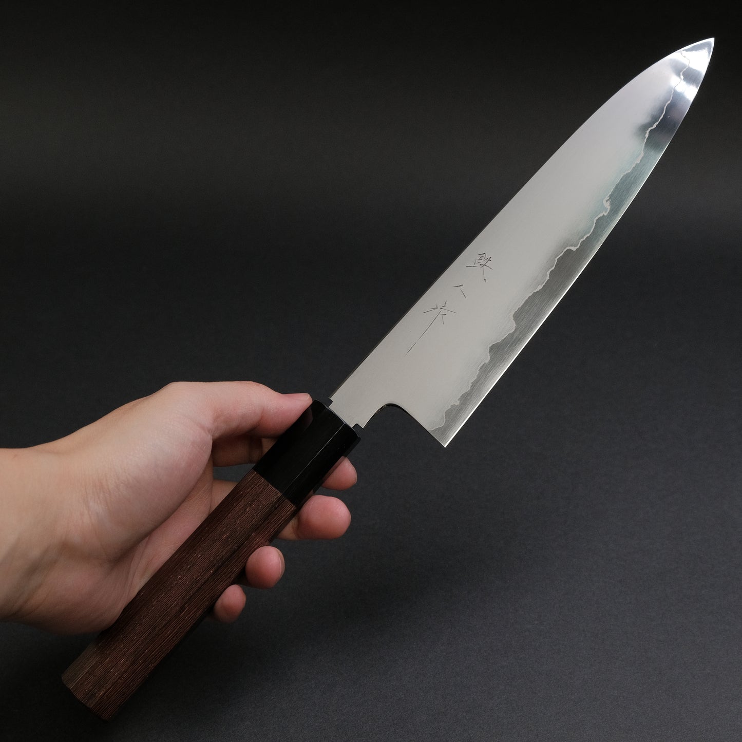 Tetsujin Silver #3 Kasumi Gyuto 210mm Taihei Tagayasan Handle