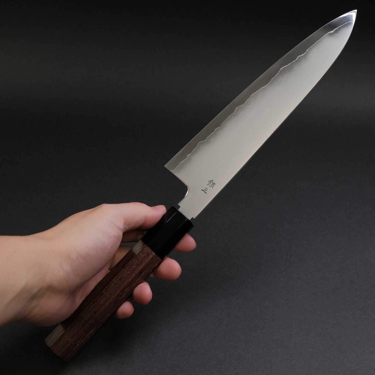 Tetsujin Silver #3 Kasumi Gyuto 210mm Taihei Tagayasan Handle