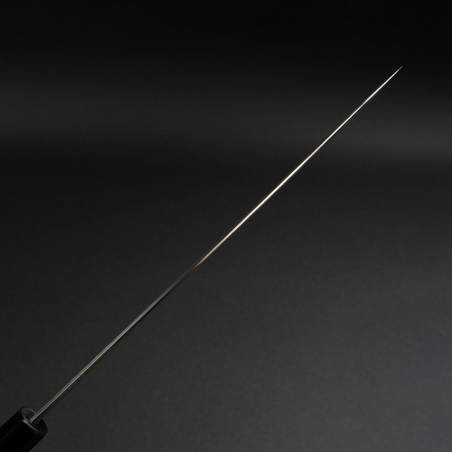 Tetsujin Silver #3 Kasumi Gyuto 240mm Taihei Tagayasan Handle