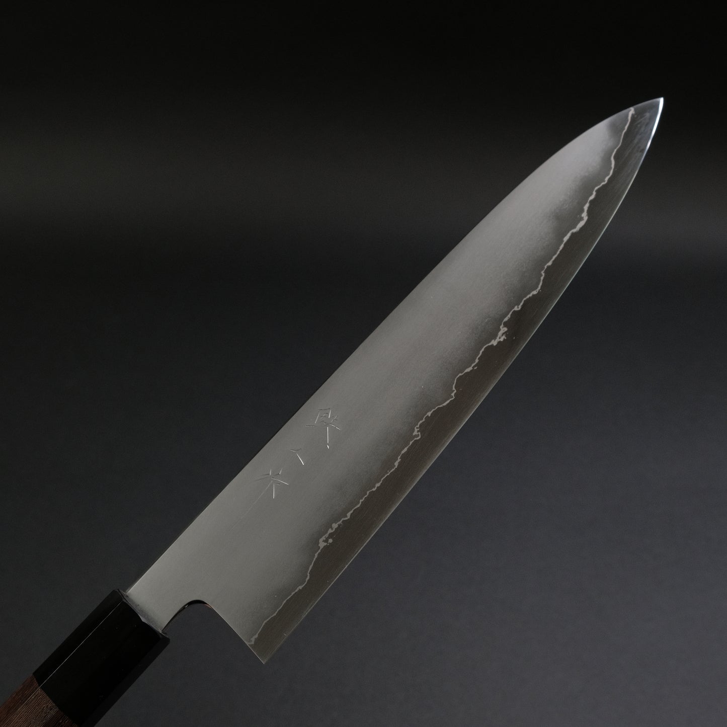 Tetsujin Silver #3 Kasumi Gyuto 240mm Taihei Tagayasan Handle